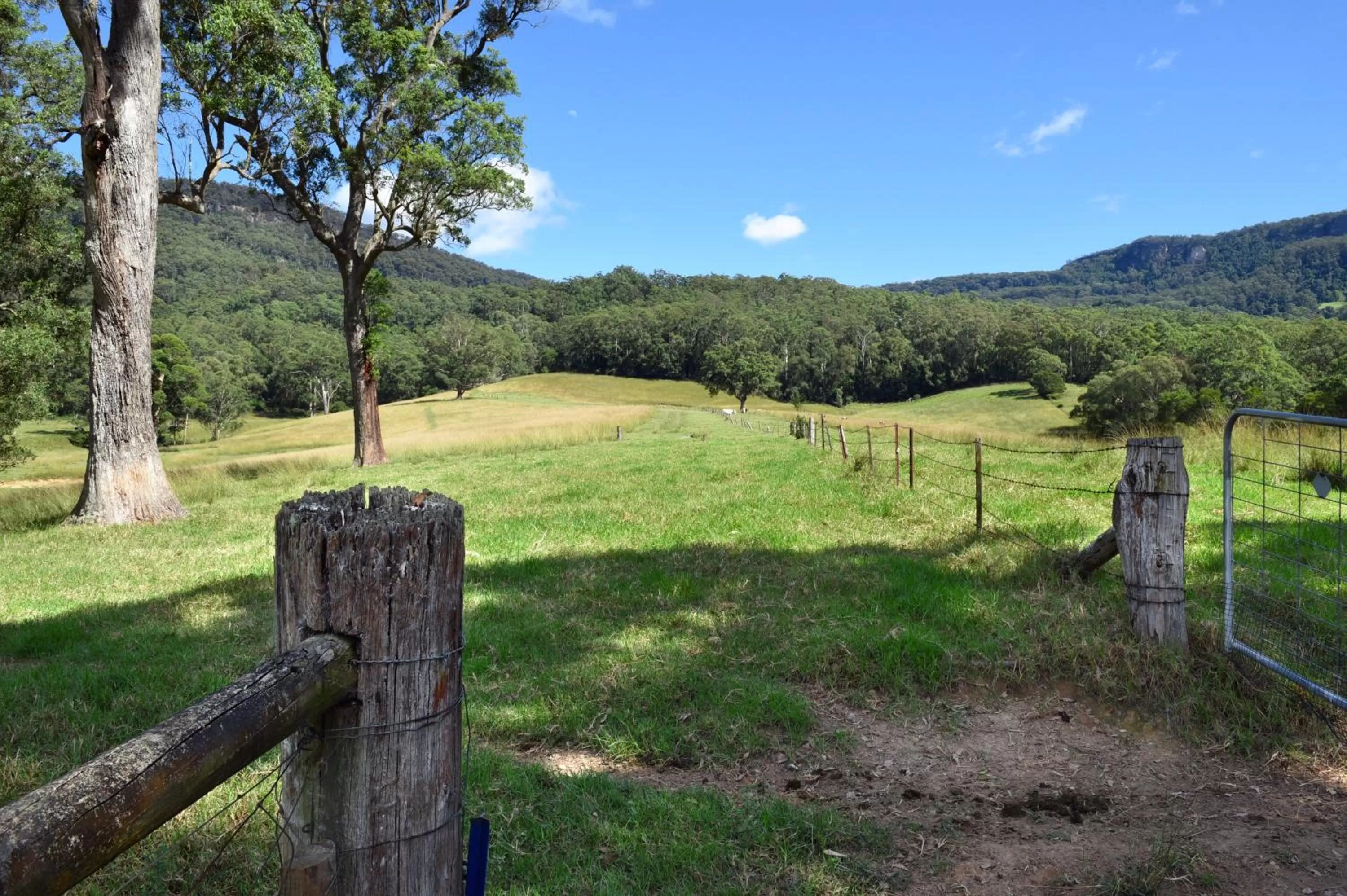Mountain view in The Laurels B&B