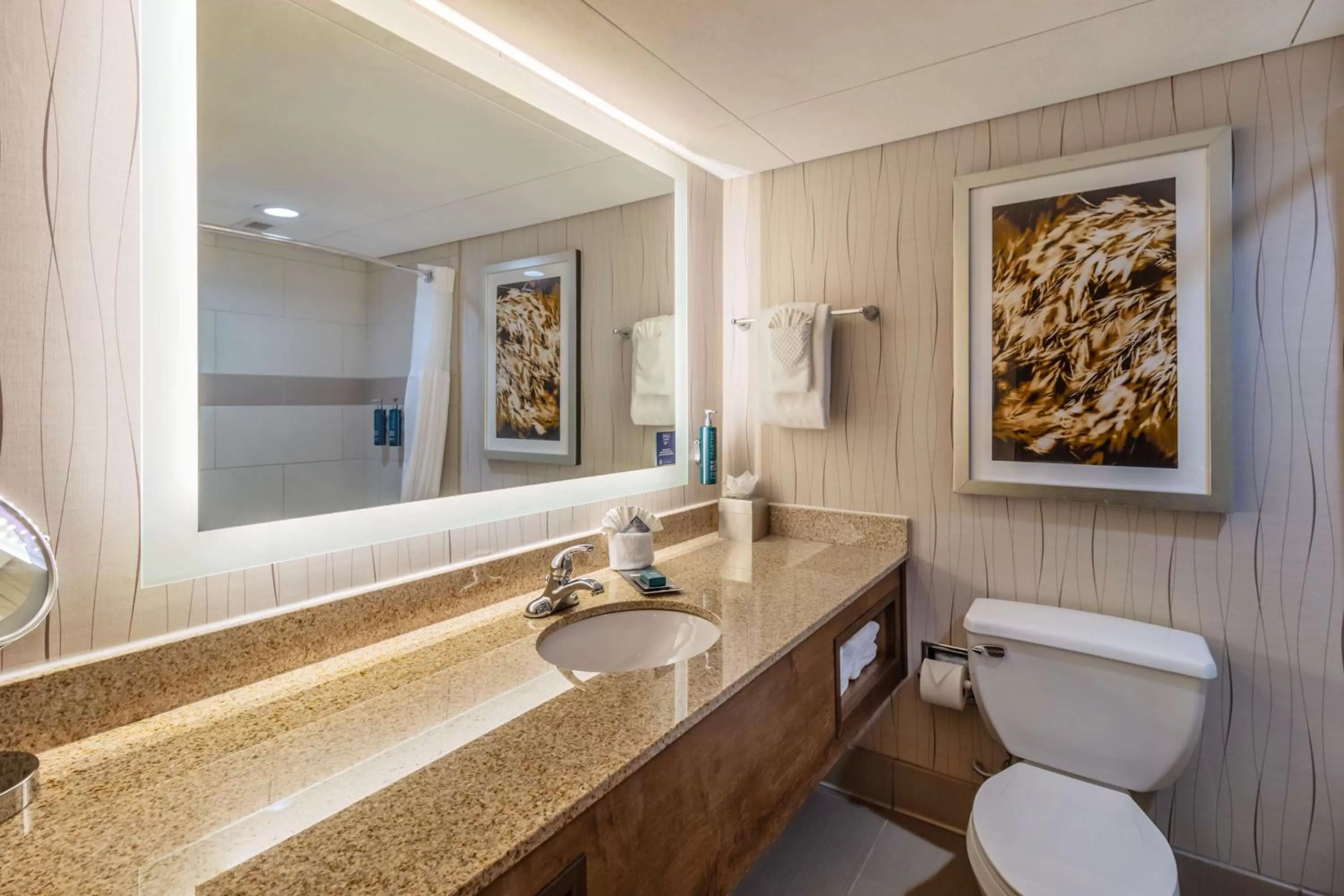 Bathroom in DoubleTree by Hilton Lawrence