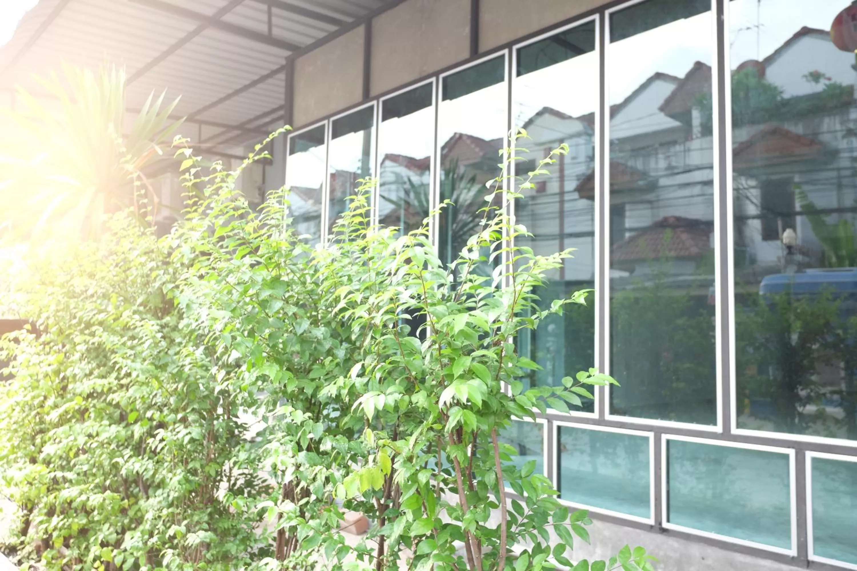 Street view in Area 69 (Don Muang Airport)