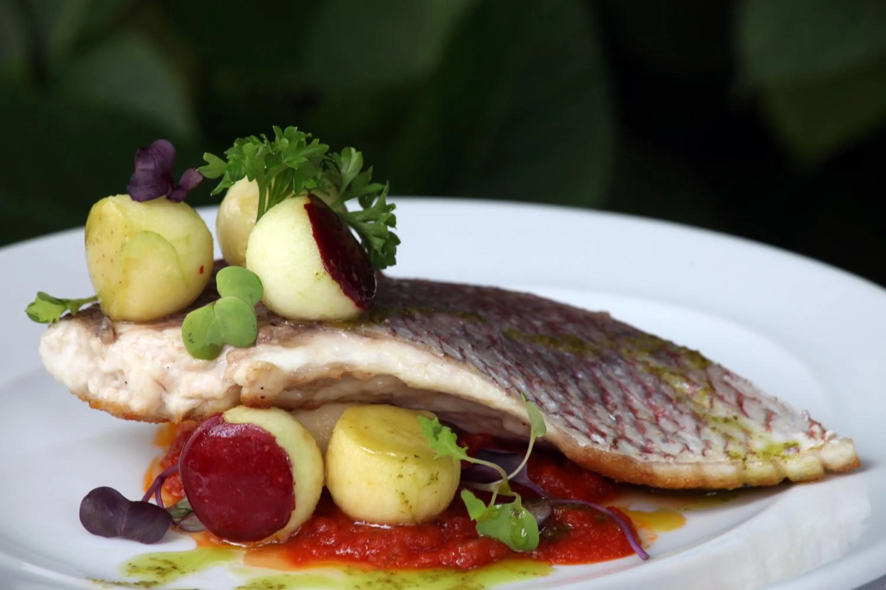 Food close-up in La Quinta de los Cedros