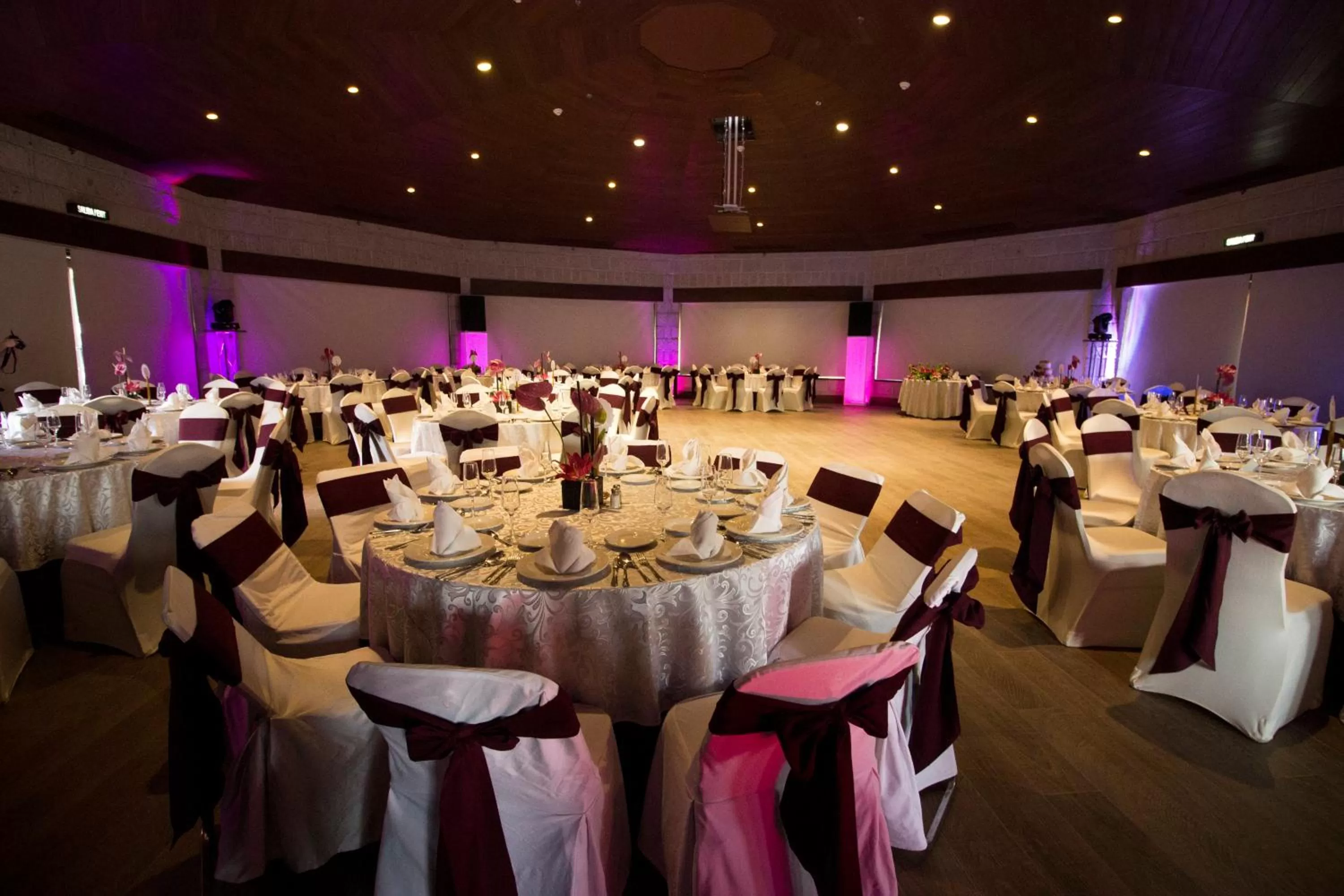 Banquet/Function facilities in Holiday Inn Queretaro Centro Historico by IHG