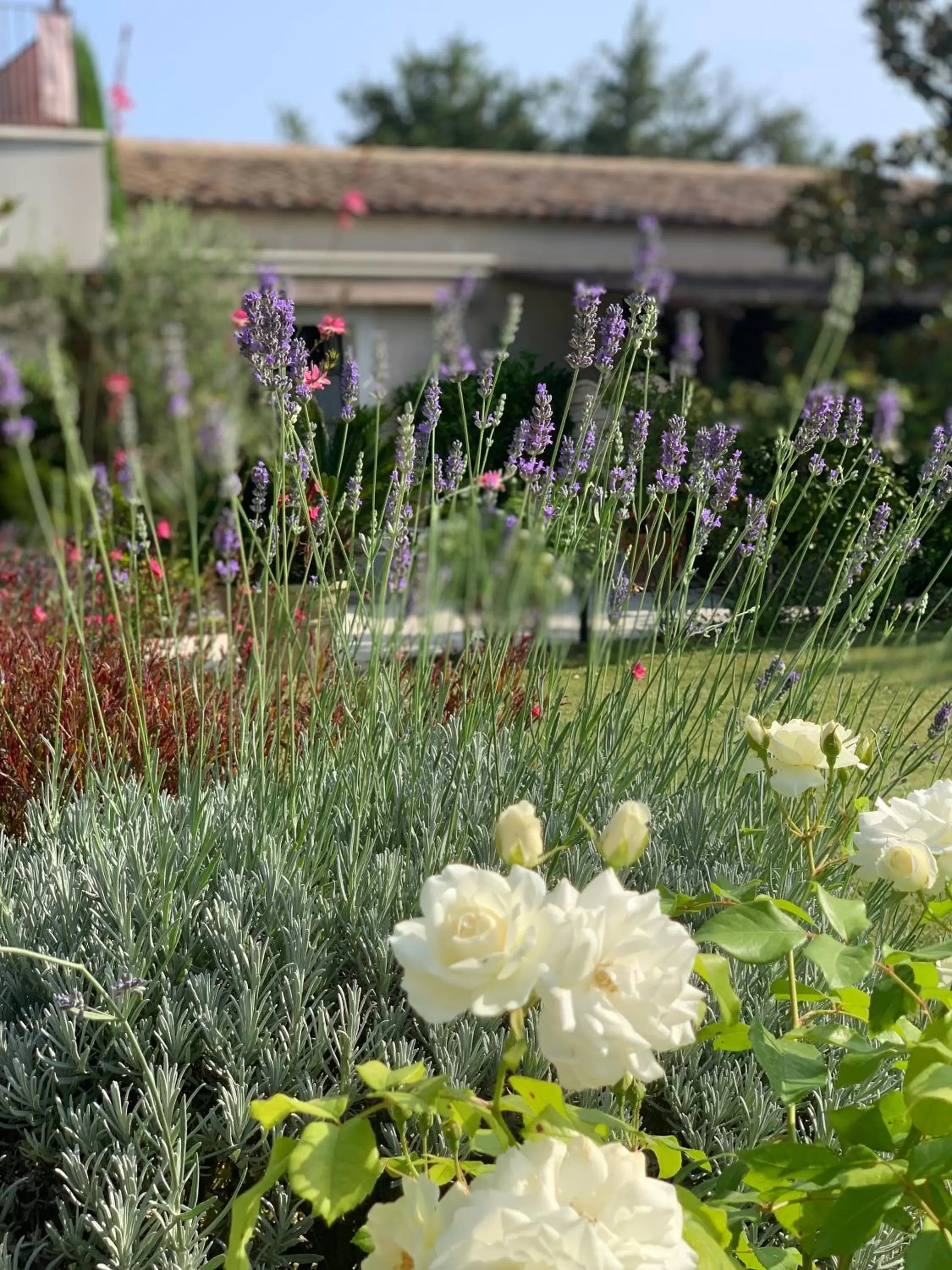 Garden in Residence Melody - Adult only