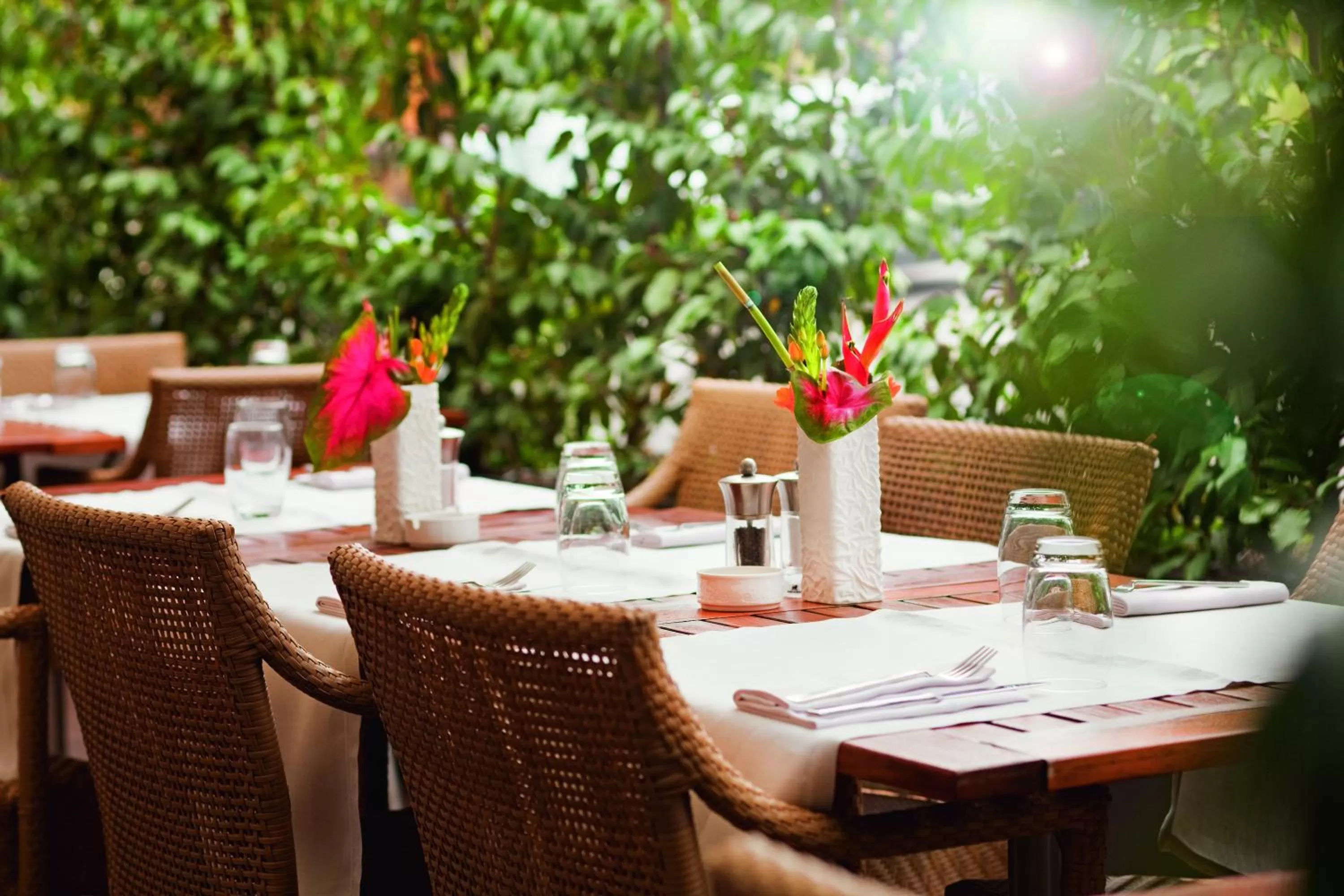 Restaurant/places to eat in Mövenpick Hotel Geneva