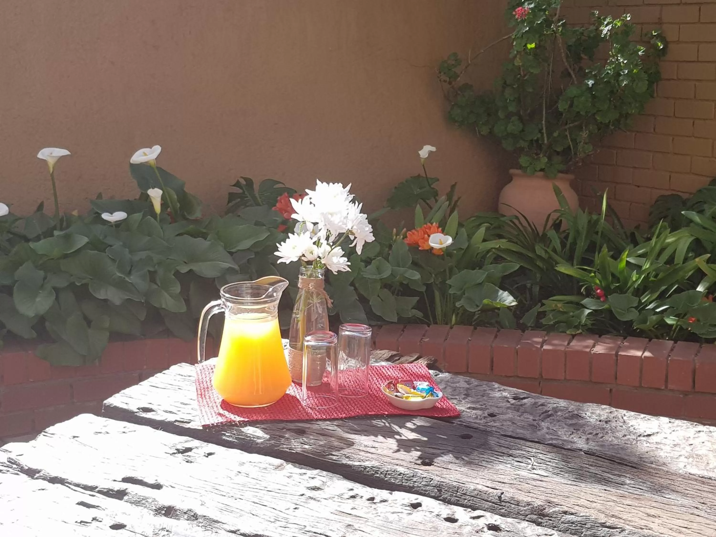 Patio in The Leopard Tree