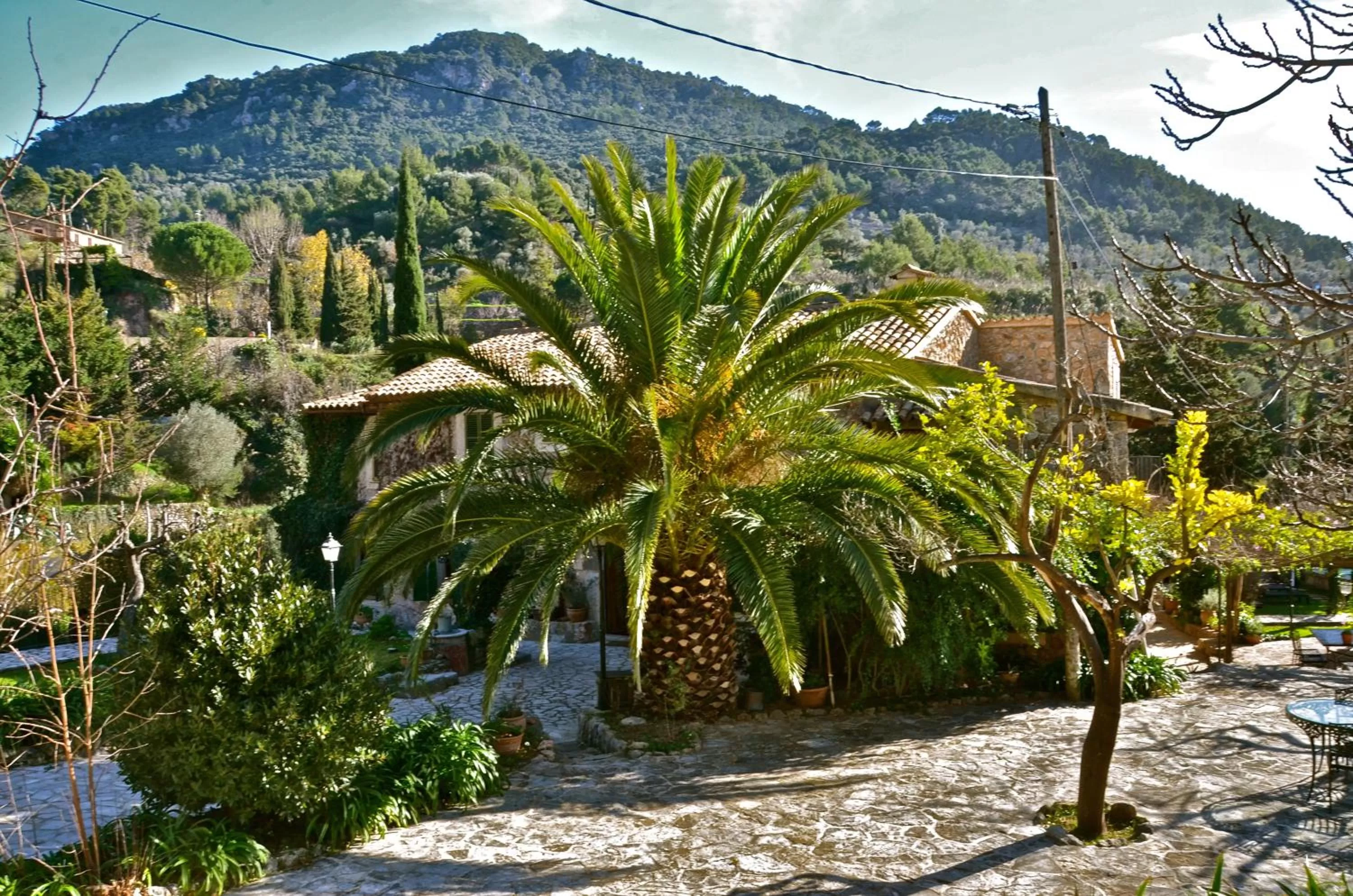 Day in Sa Vall Valldemossa