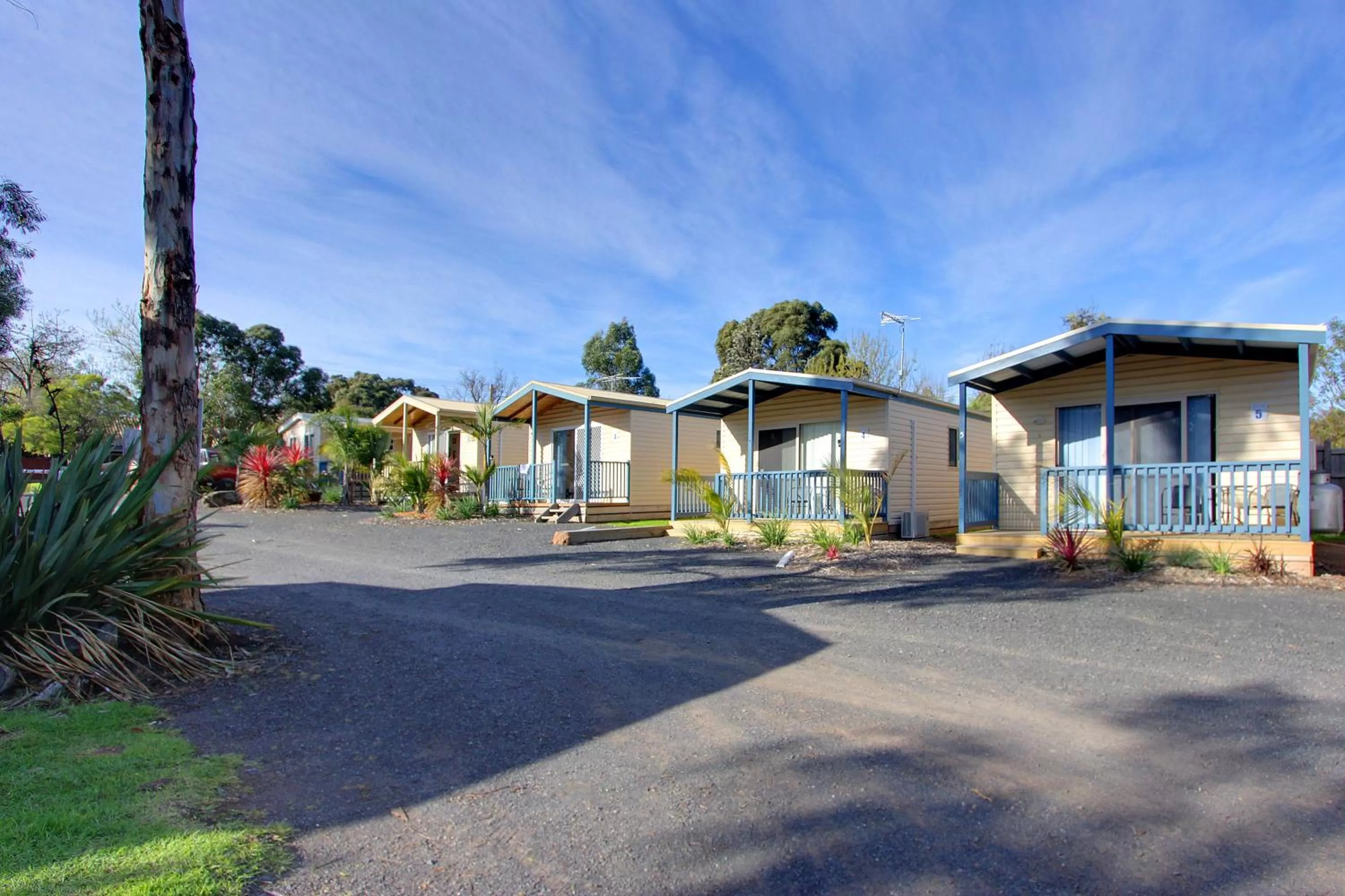 Other in Amaroo Park