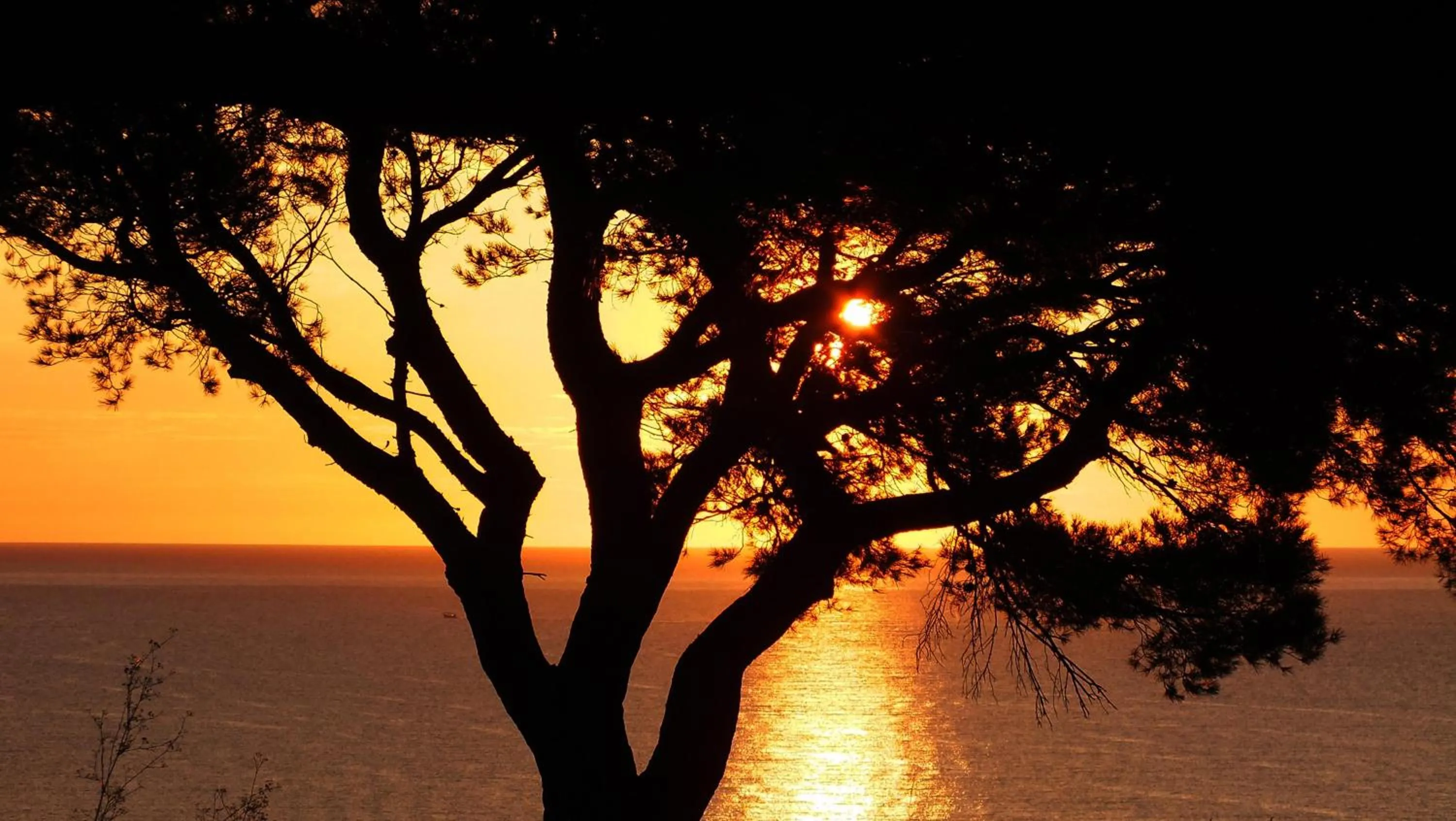 Sunset in Canyelles Platja