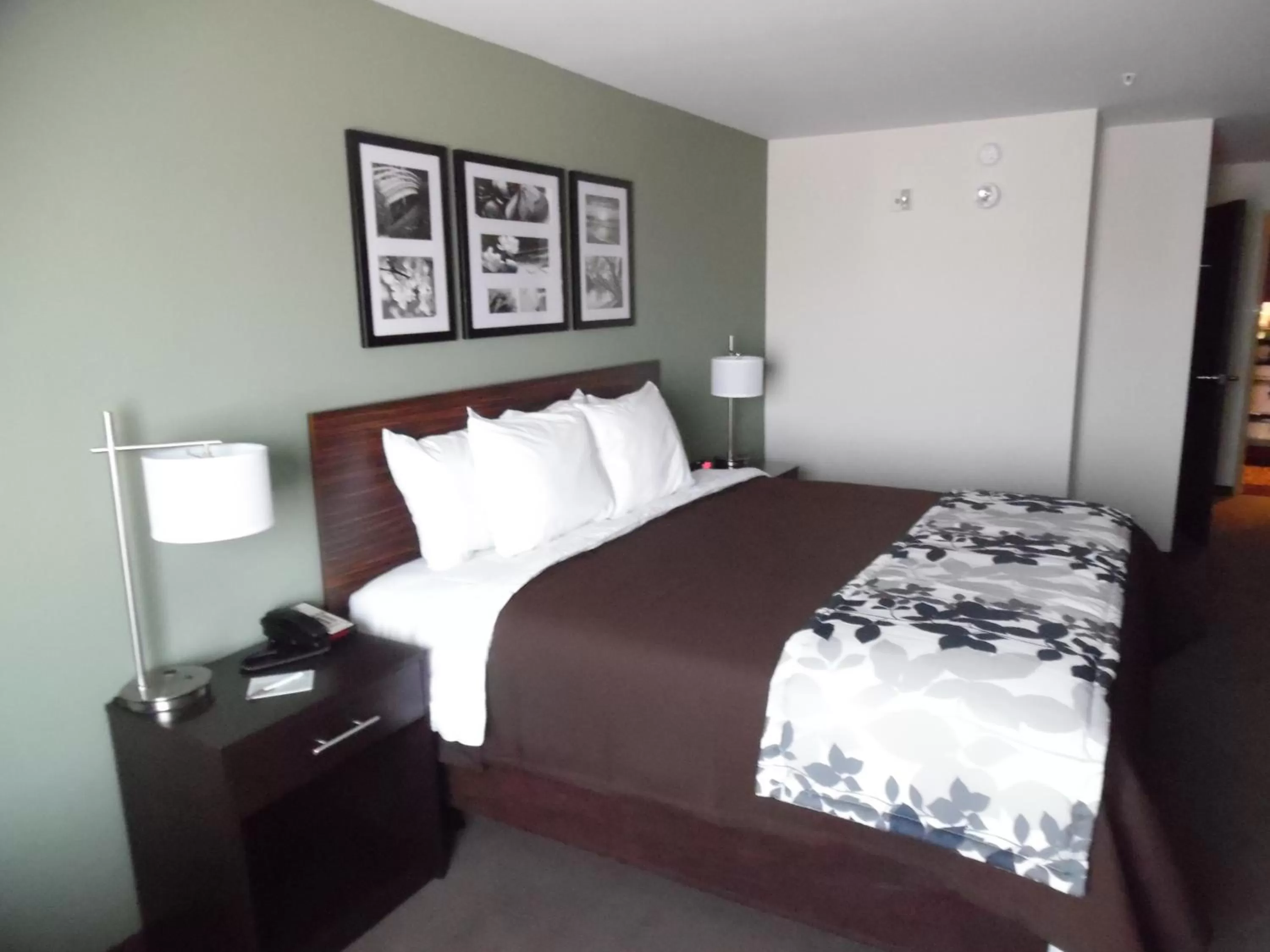 Bedroom, Bed in Sleep Inn & Suites Syracuse Airport