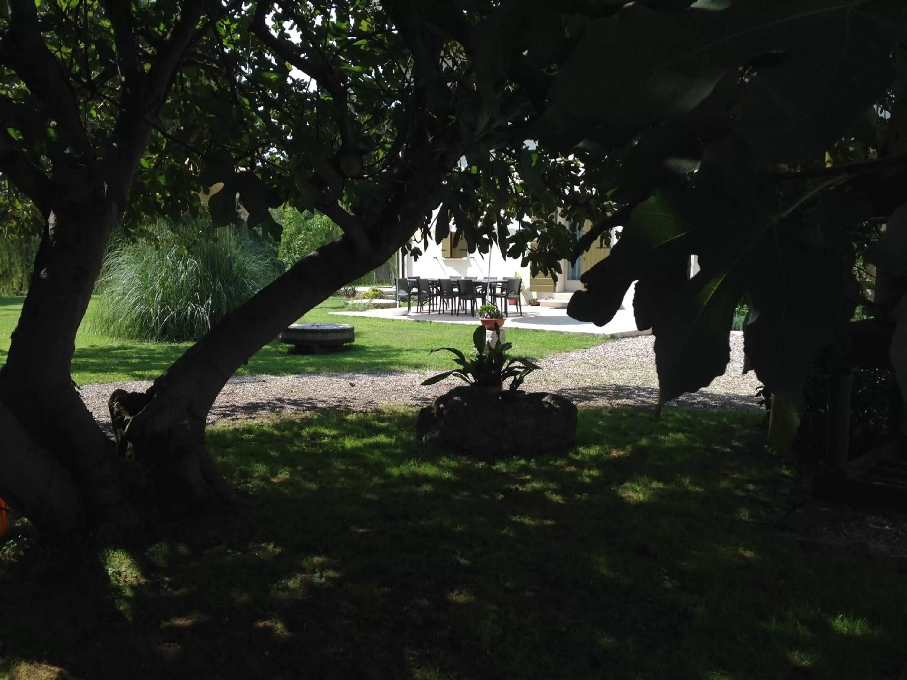 Garden in L'Isolo b&b e case vacanza