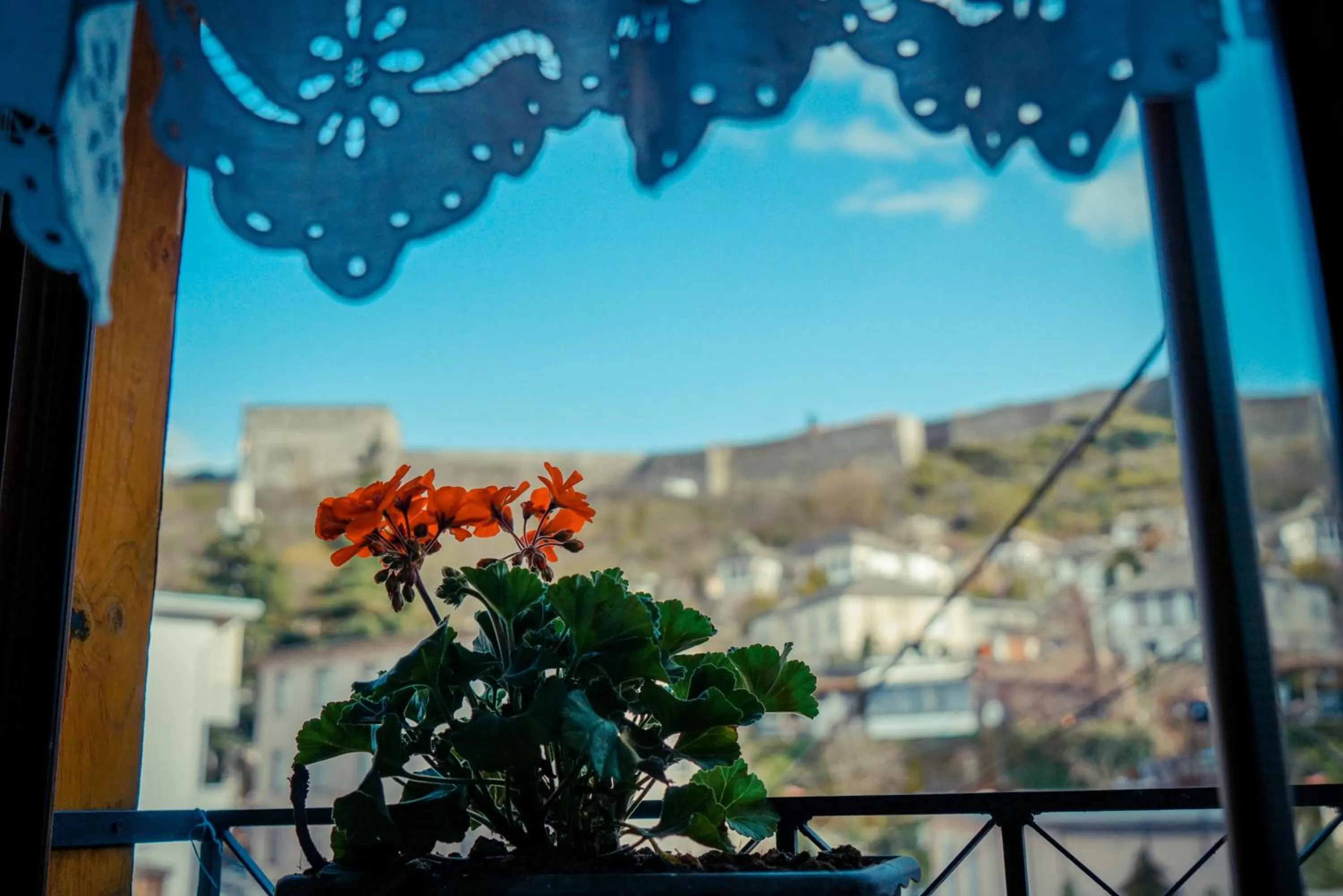 View (from property/room) in Hotel Domino