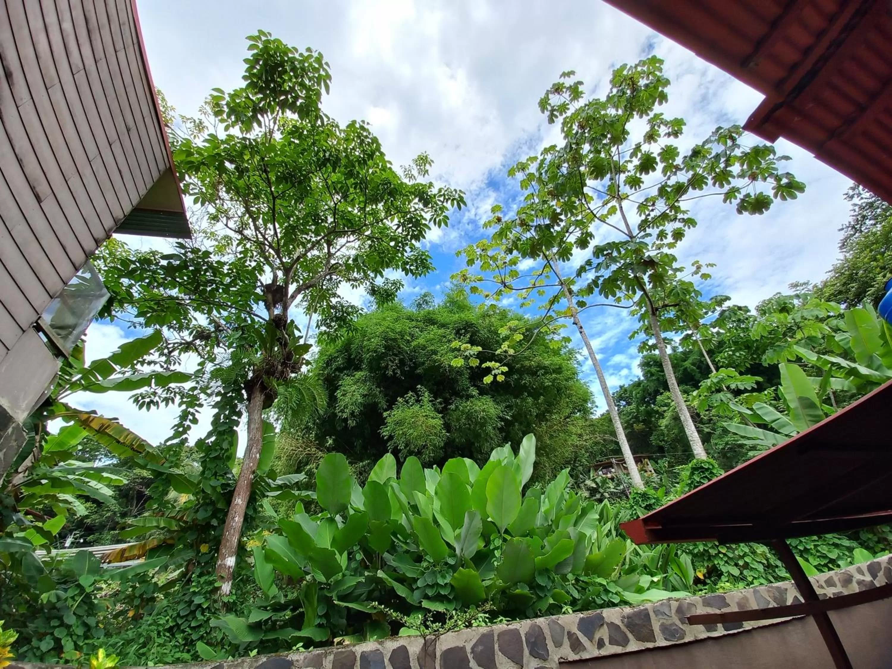 Natural landscape in Sunrise House
