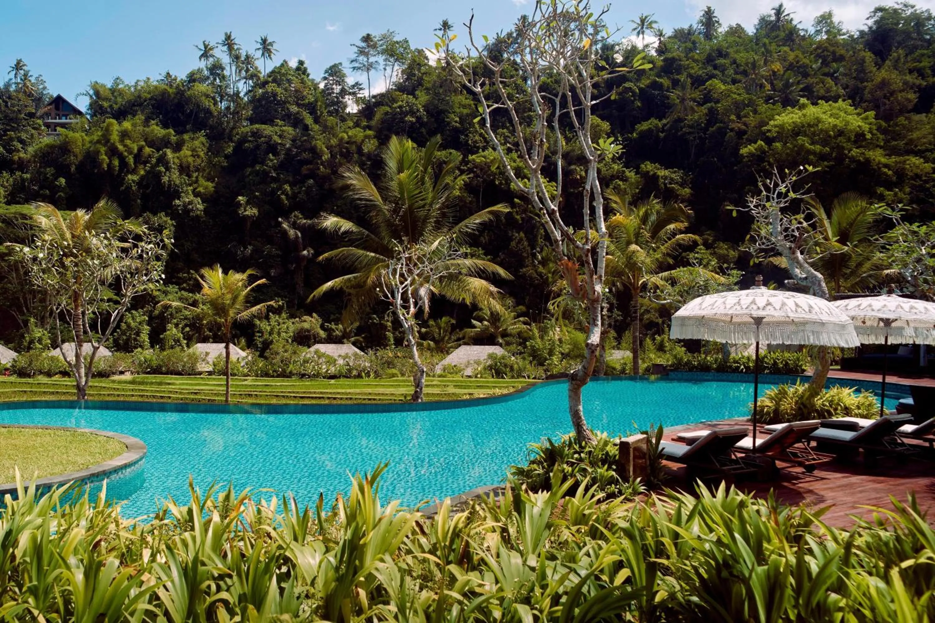 Swimming pool in Mandapa, a Ritz-Carlton Reserve