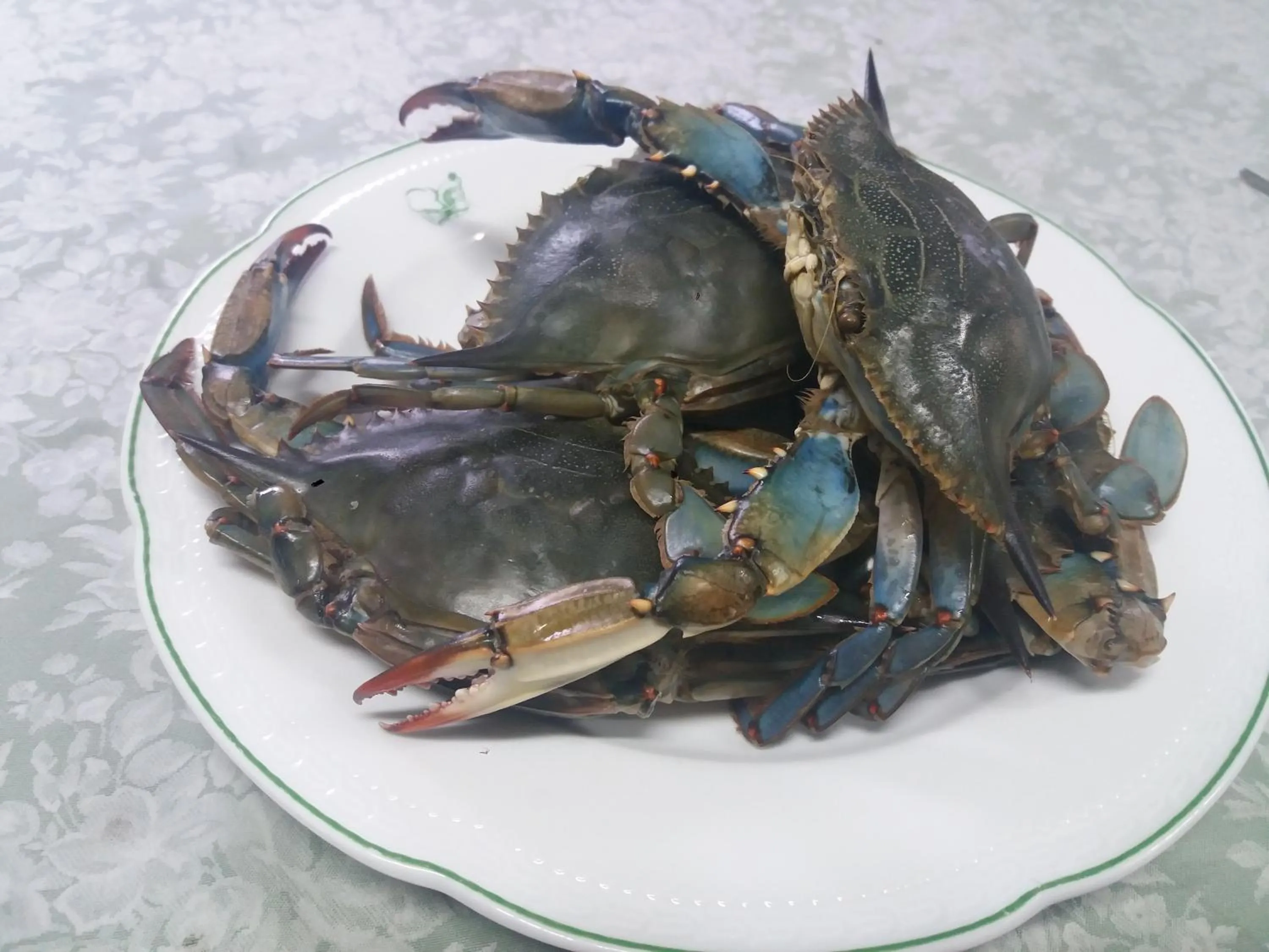 La Villa dei Gourmets - Struttura Sanificata