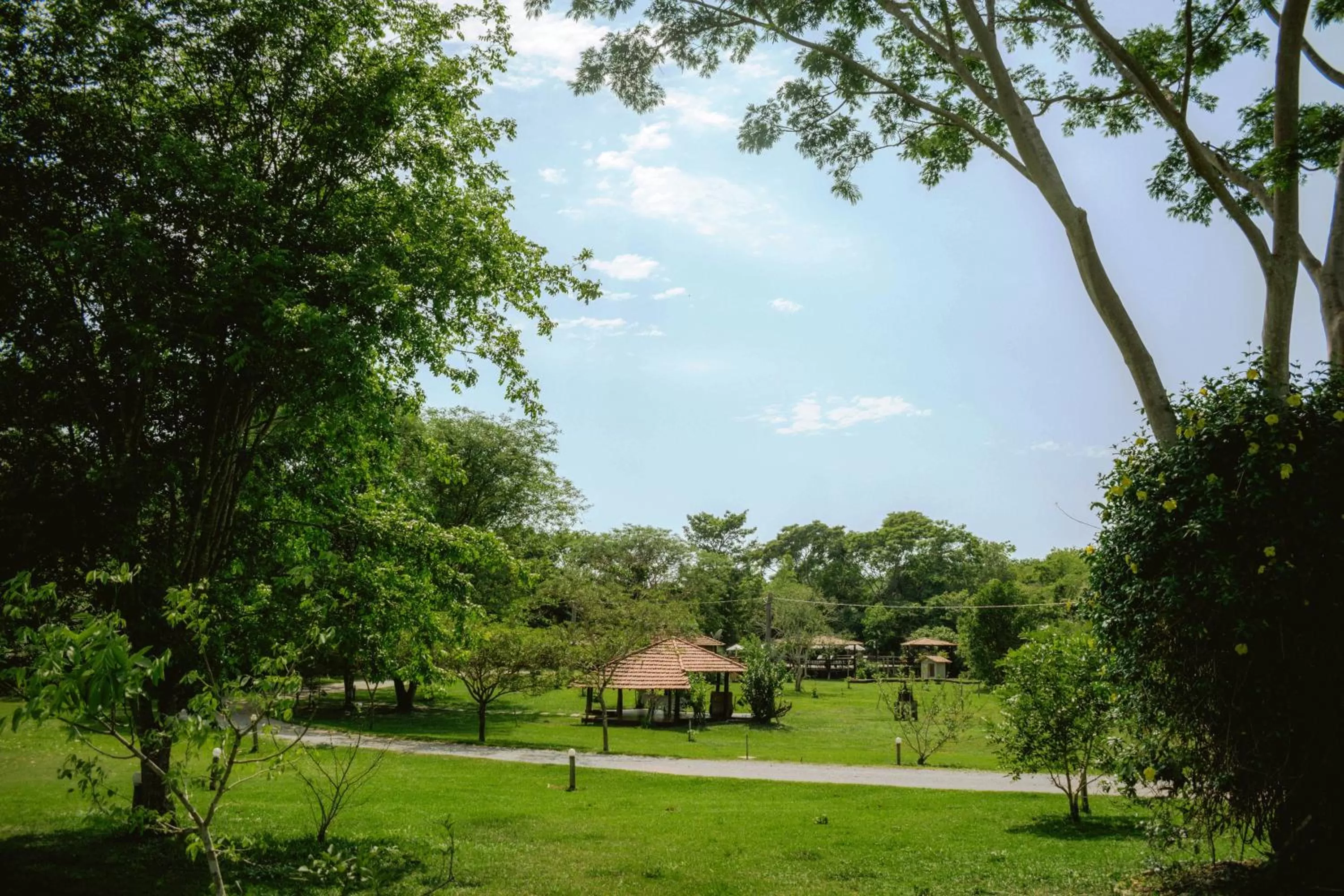 Garden view in Hotel Santa Esmeralda