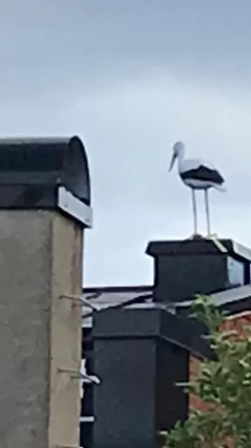 Off site in Hotell Bäckagården