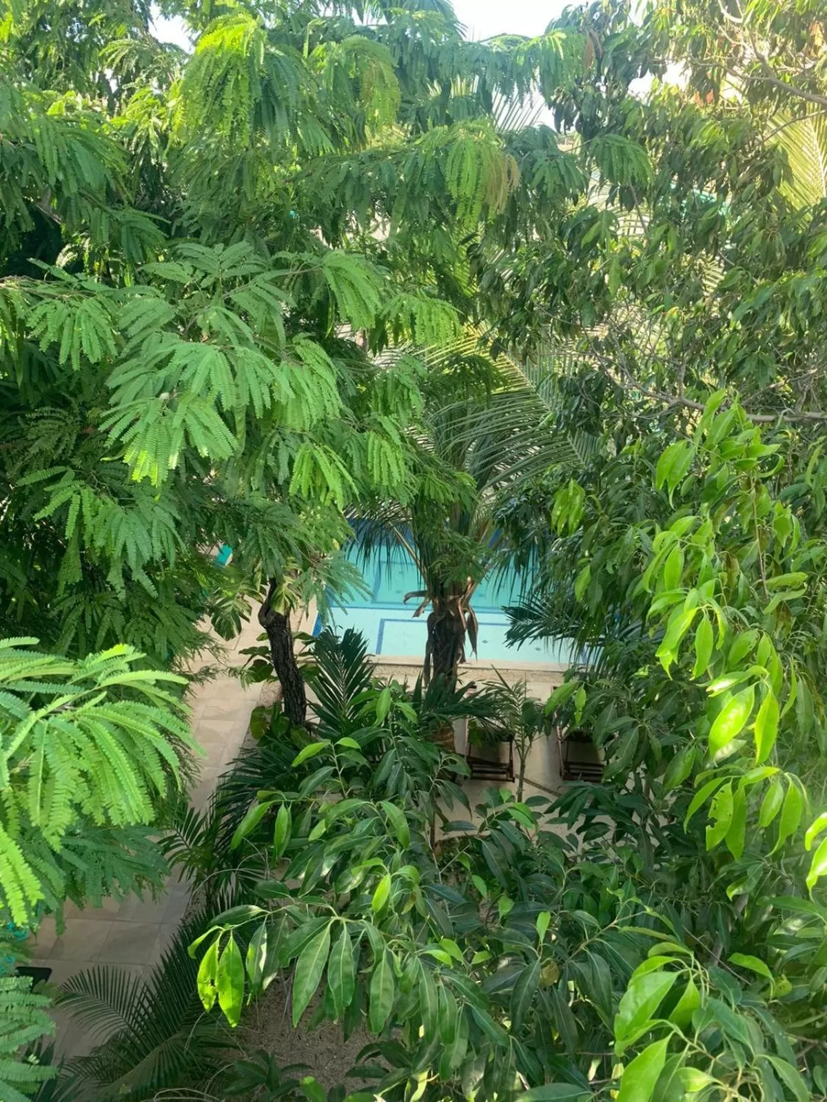 Property building in Los Arcos Hotel - TULUM