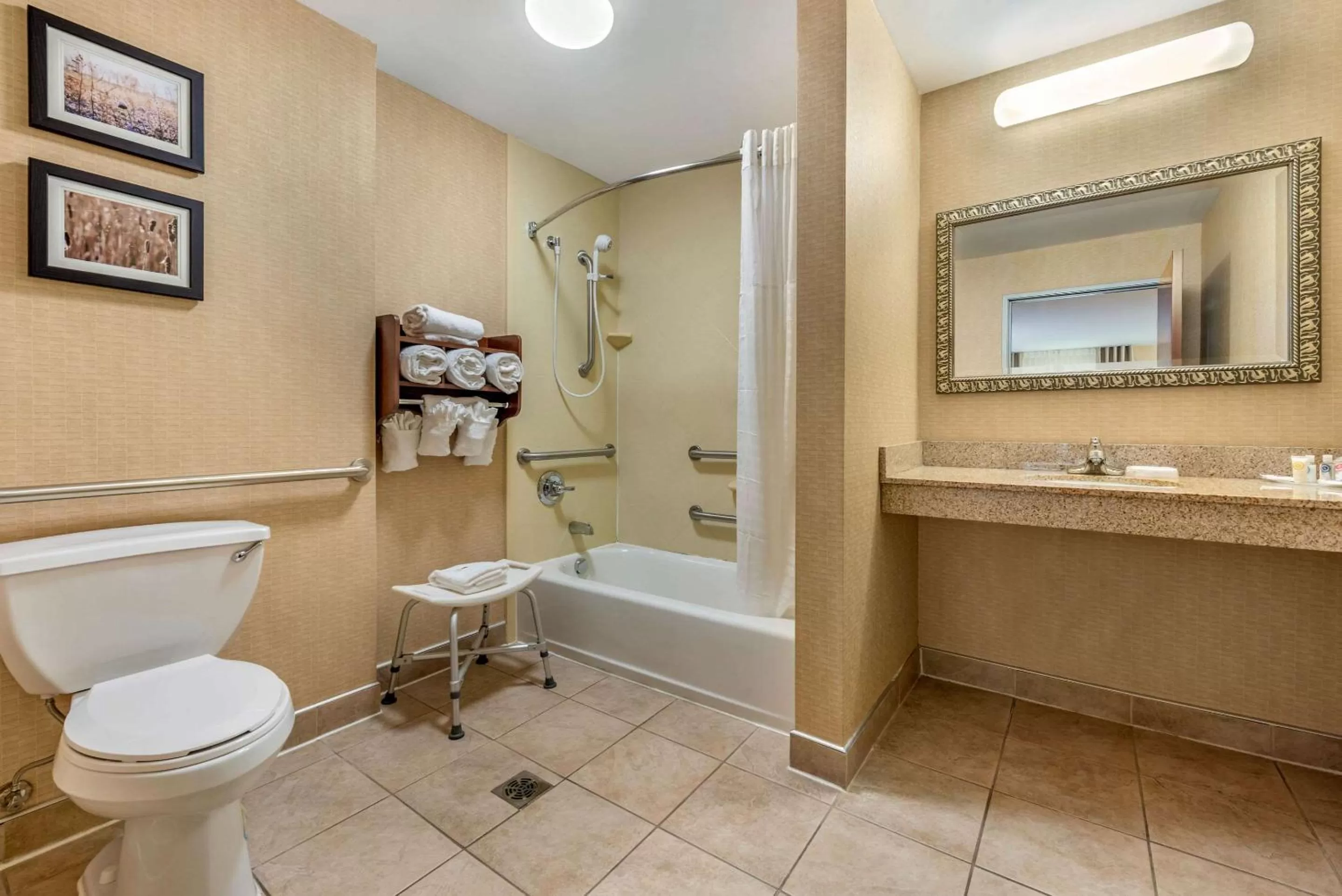 Bathroom in Comfort Suites Elkhart South