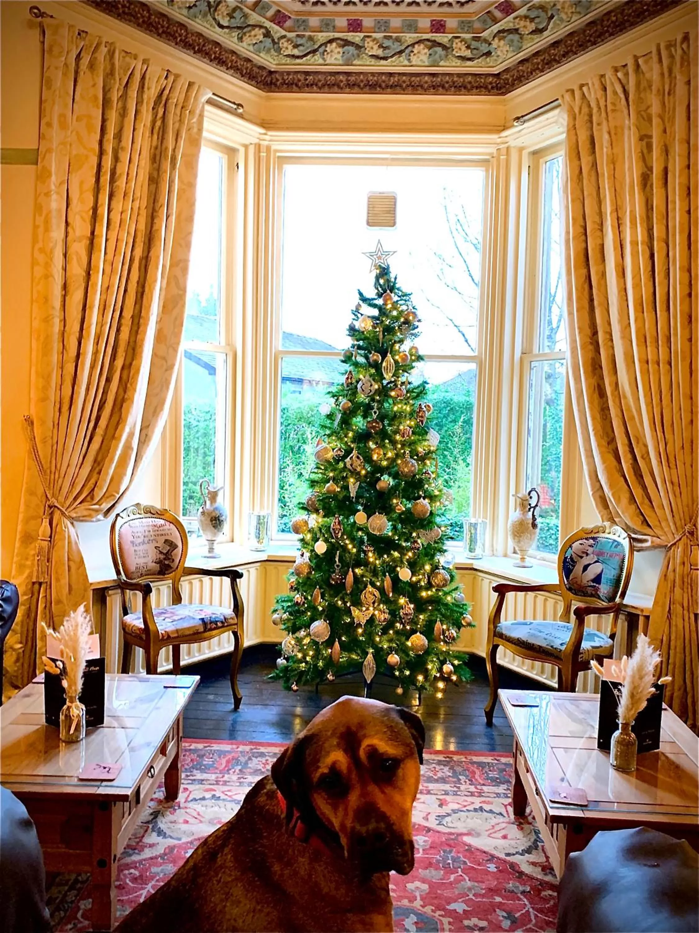 Seating Area in Rosehill House Hotel
