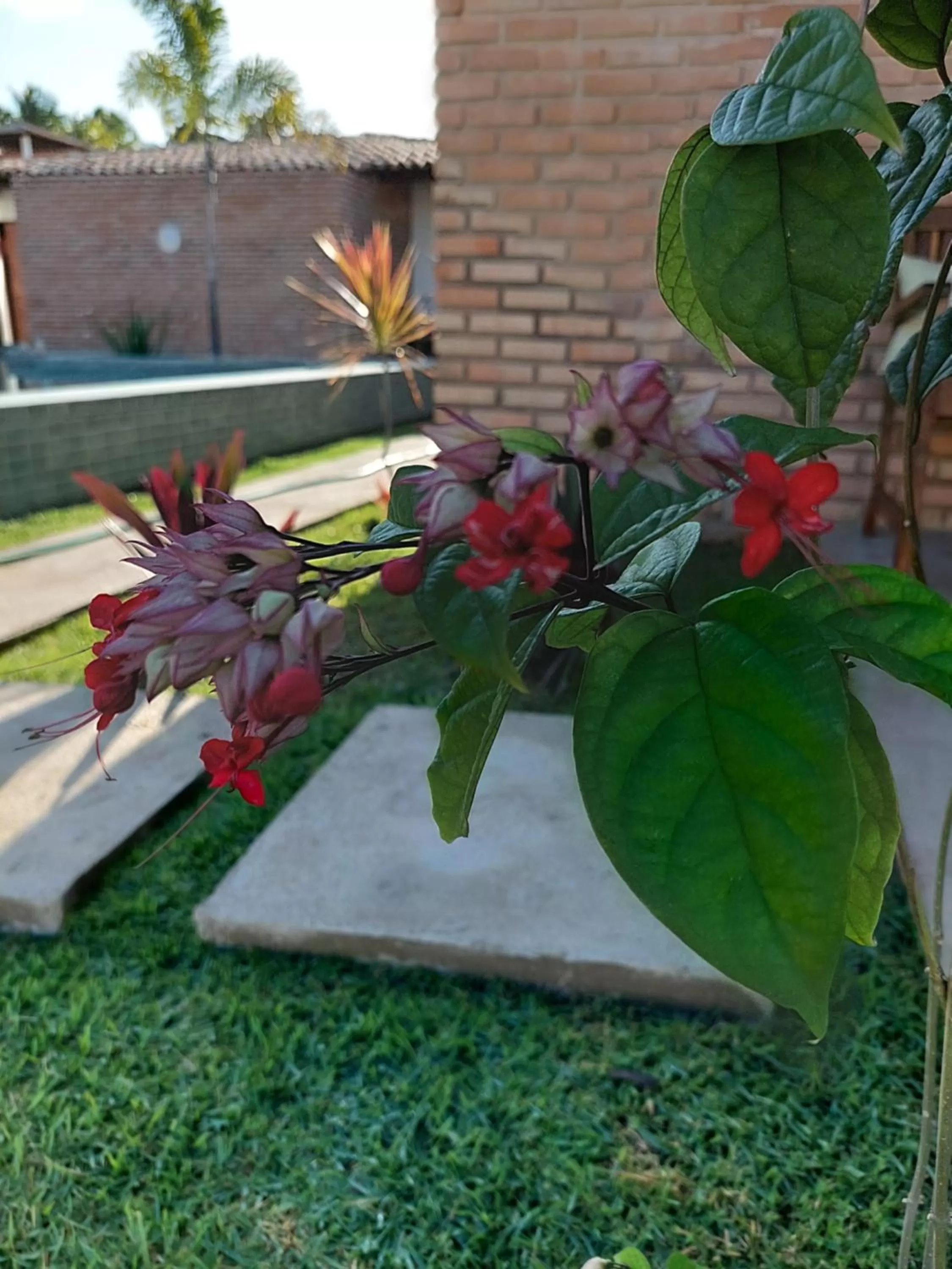 Garden in Arataba Hotel Boutique e Bistrô - 150 mts do mar