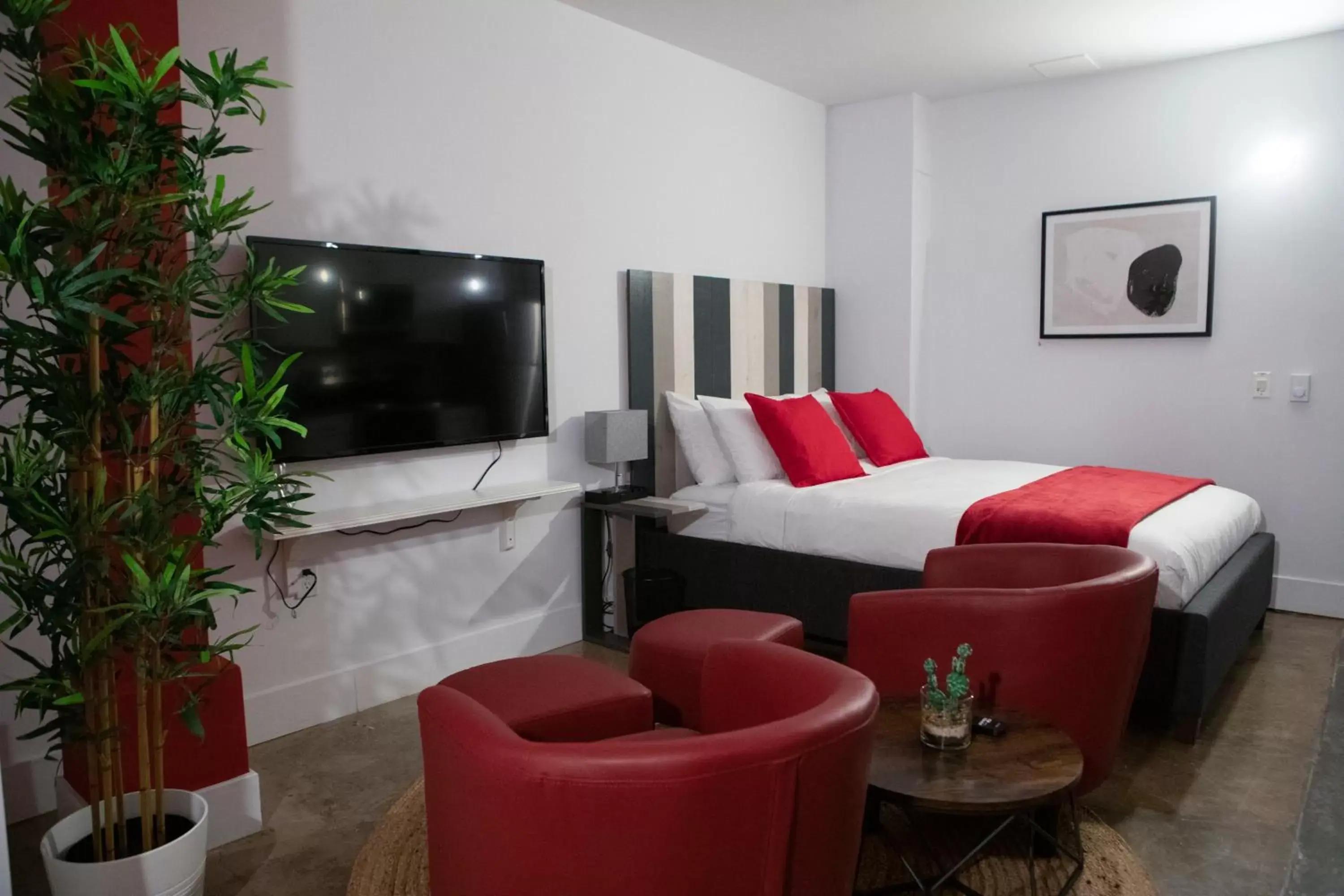 Studio - Disability Access in Cameo Hotel and Suites Studio - Disability Access in Cameo Hotel and Suites