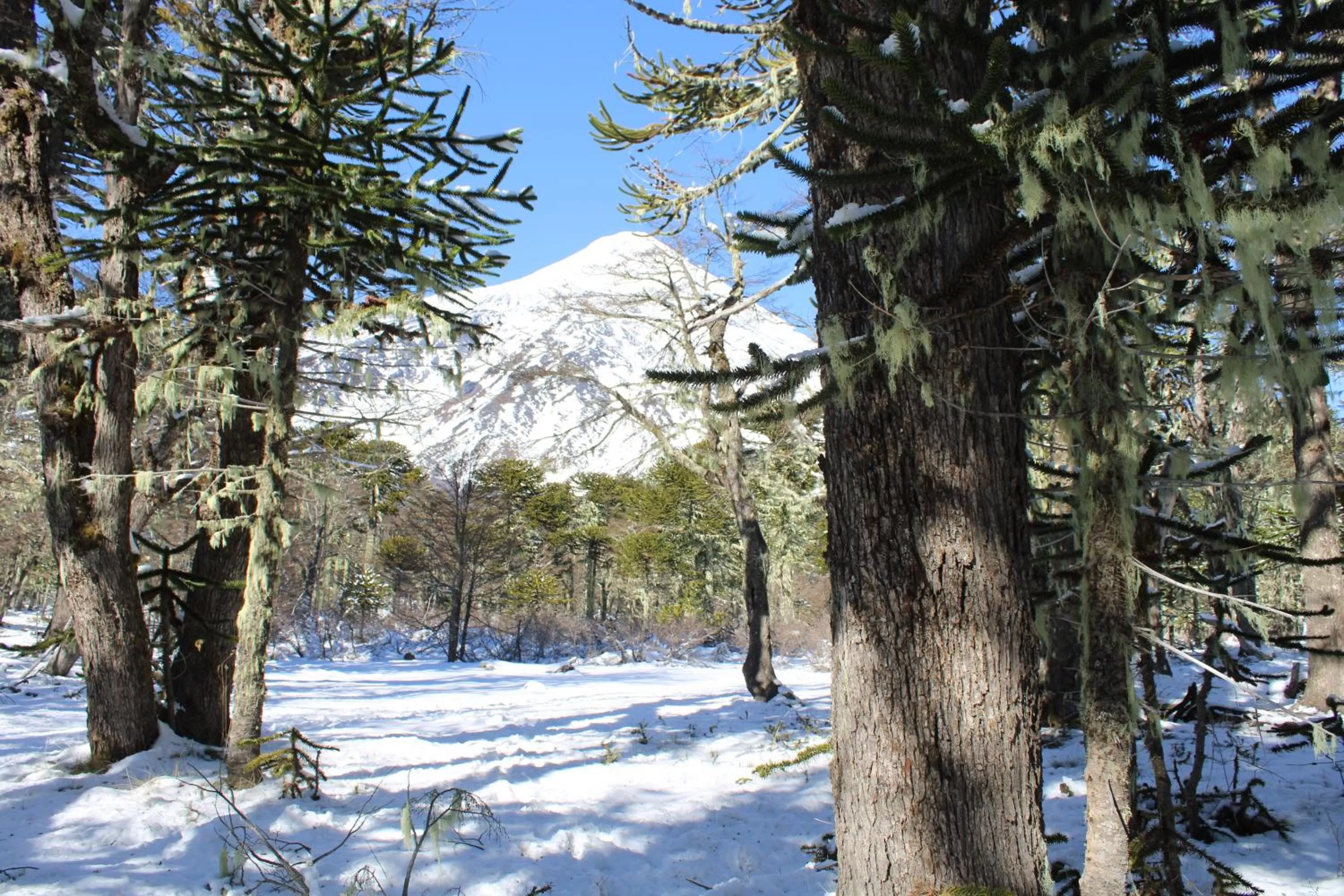 Activities in Hotel Enjoy Pucón