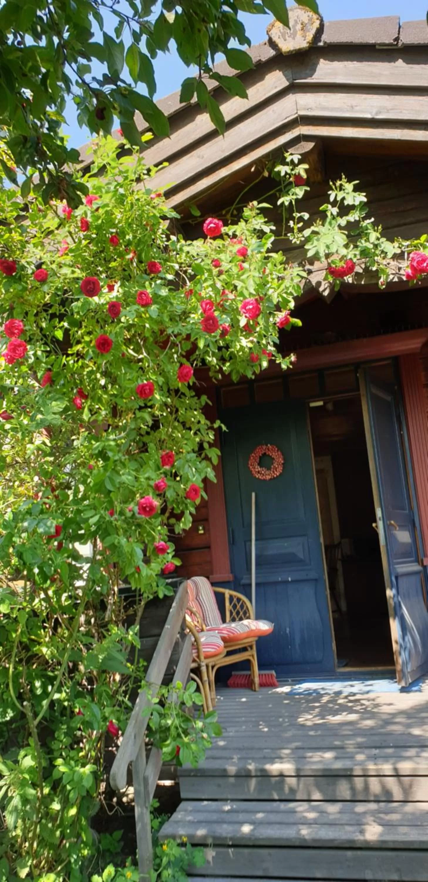 Facade/entrance in Woodstock B&B & Studio Apartments