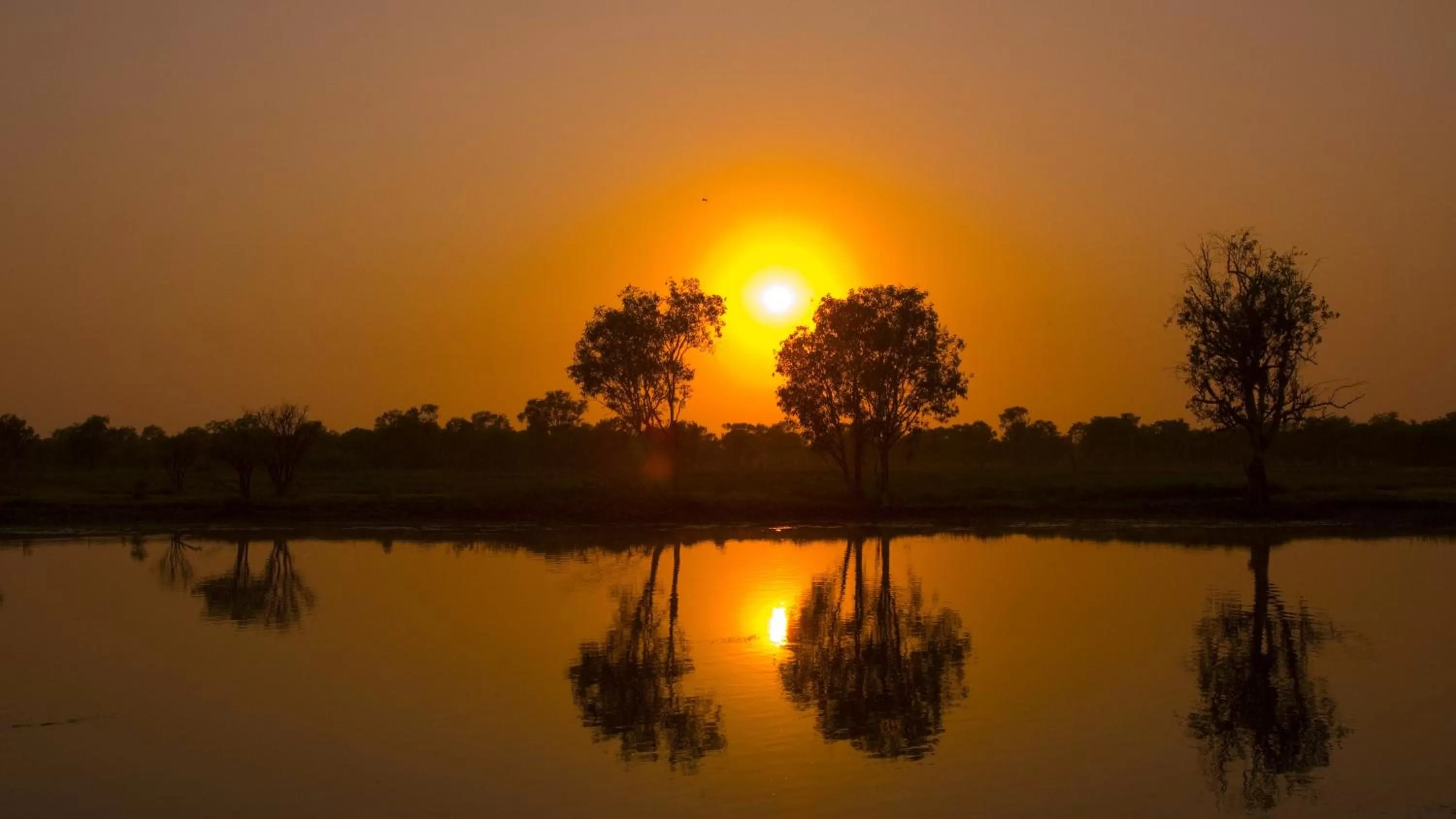Natural landscape in Mercure Kakadu Crocodile
