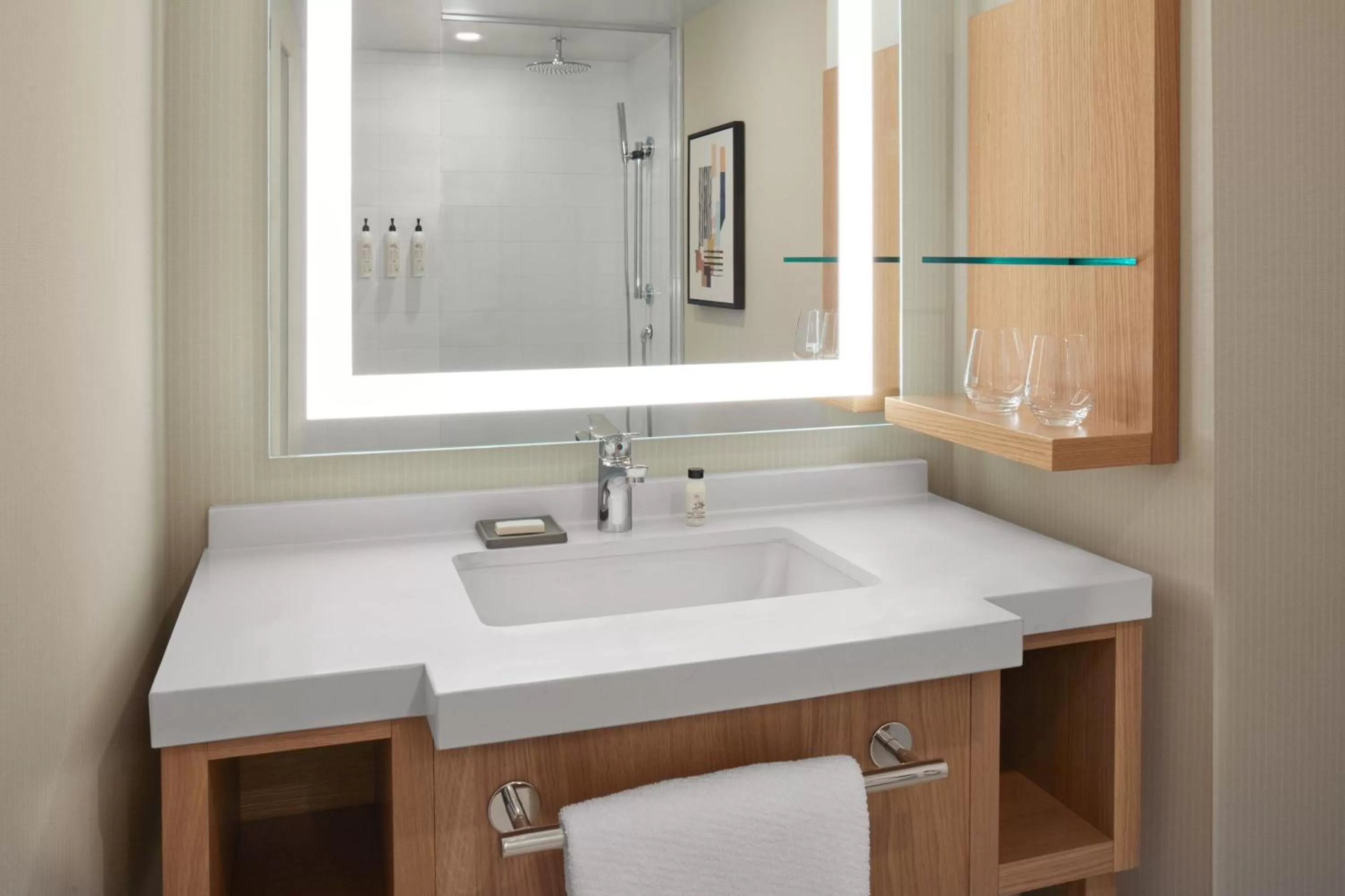 Bathroom in Delta Hotels Calgary Airport In-Terminal