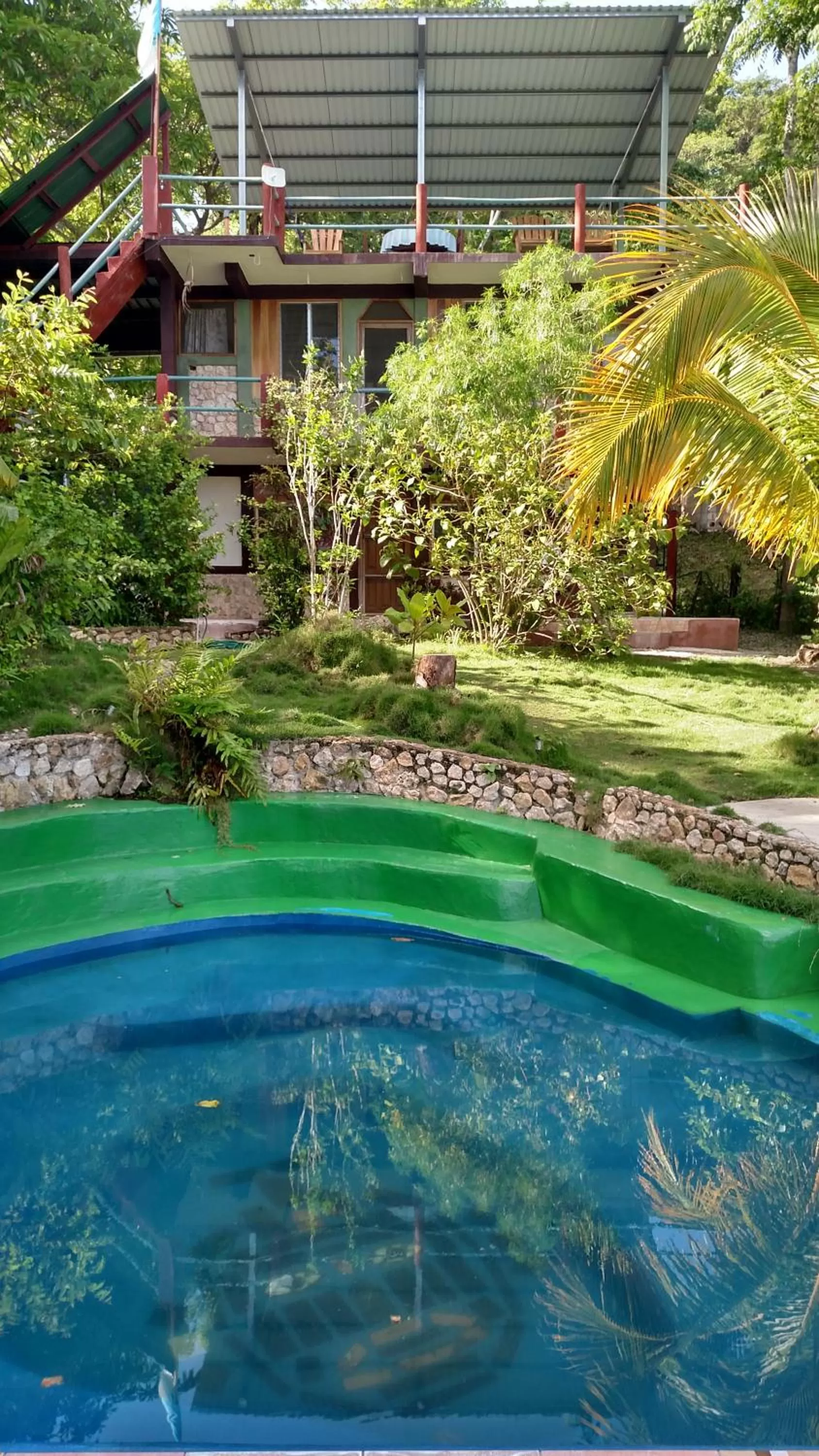 Swimming pool in Zapote Tree Inn