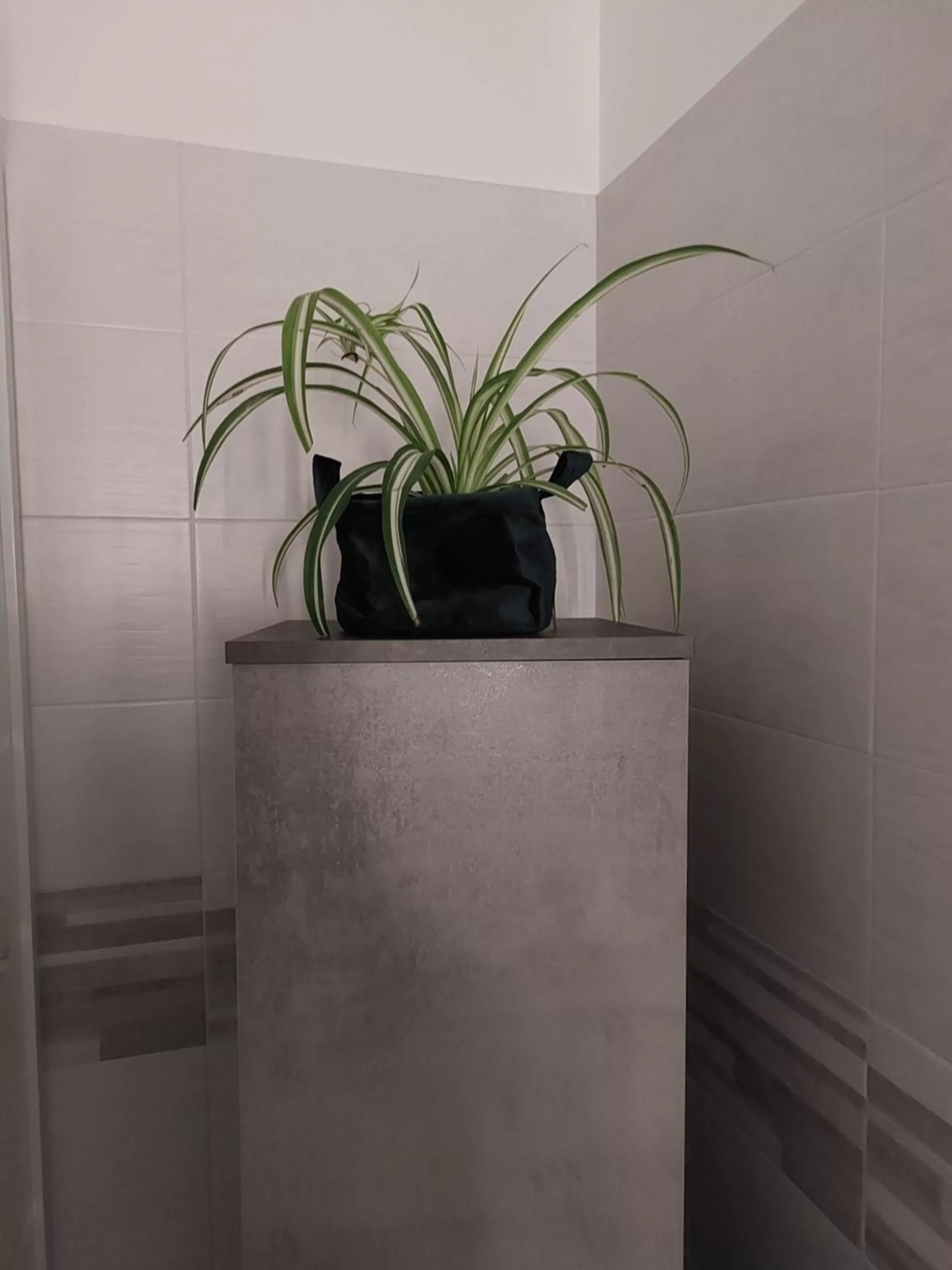 Decorative detail, Bathroom in B & B Piazza Angioina