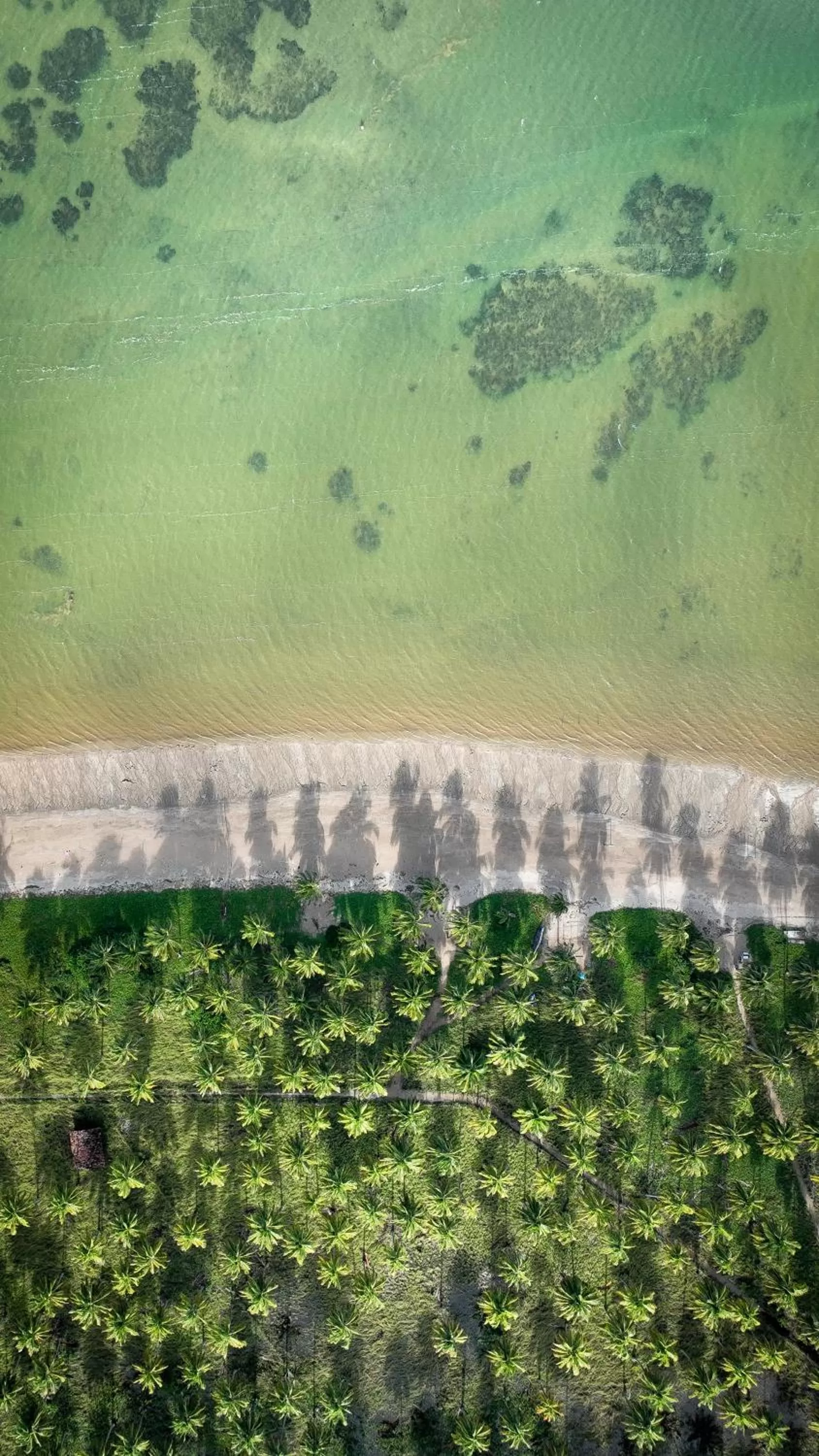 Beach in Villa Canziani & Donato
