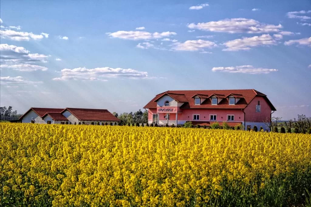 Garden view, Property Building in Noclegi Biała Róża