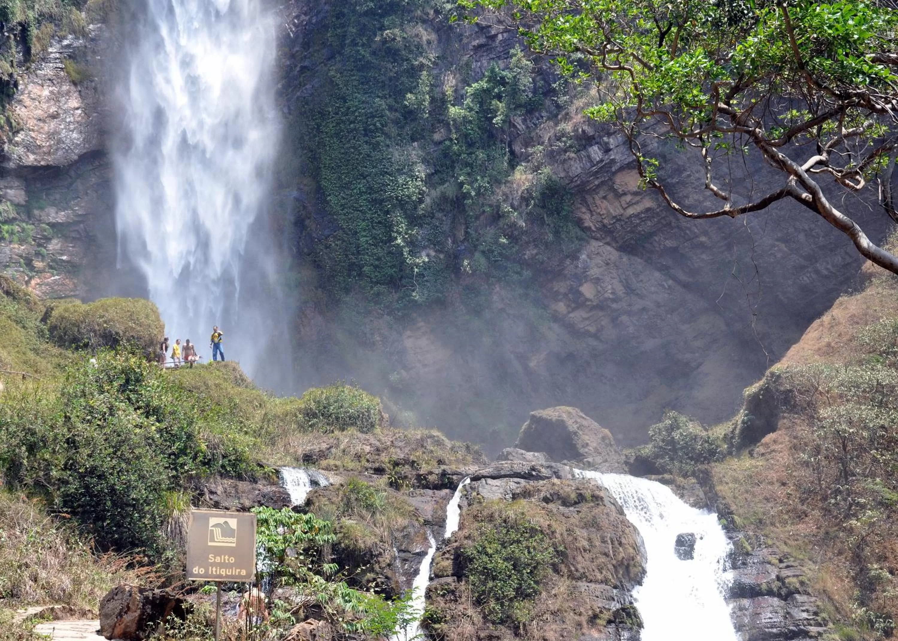 Natural landscape in Hotel 10 Goiânia
