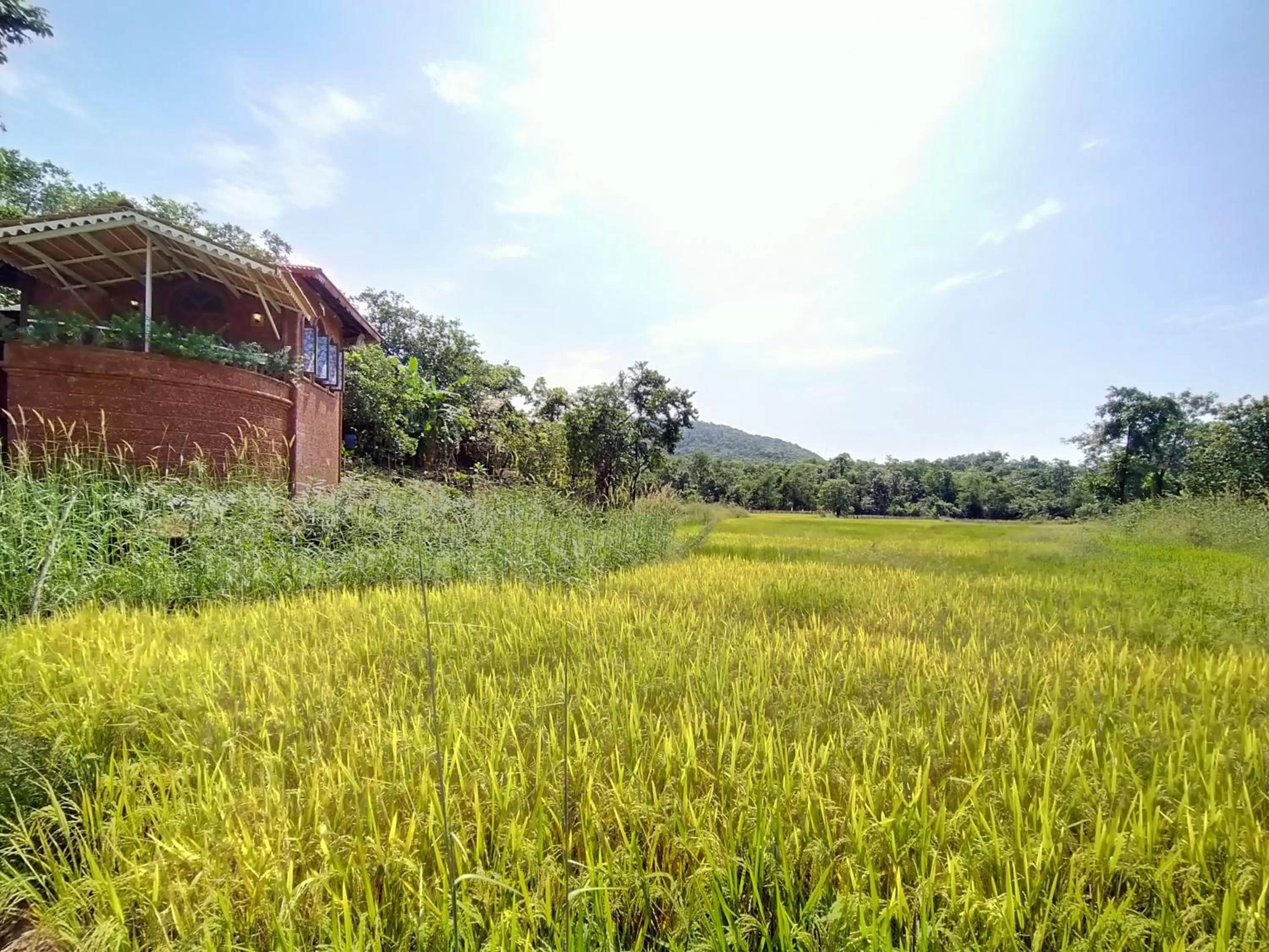 Natural landscape in Porsu