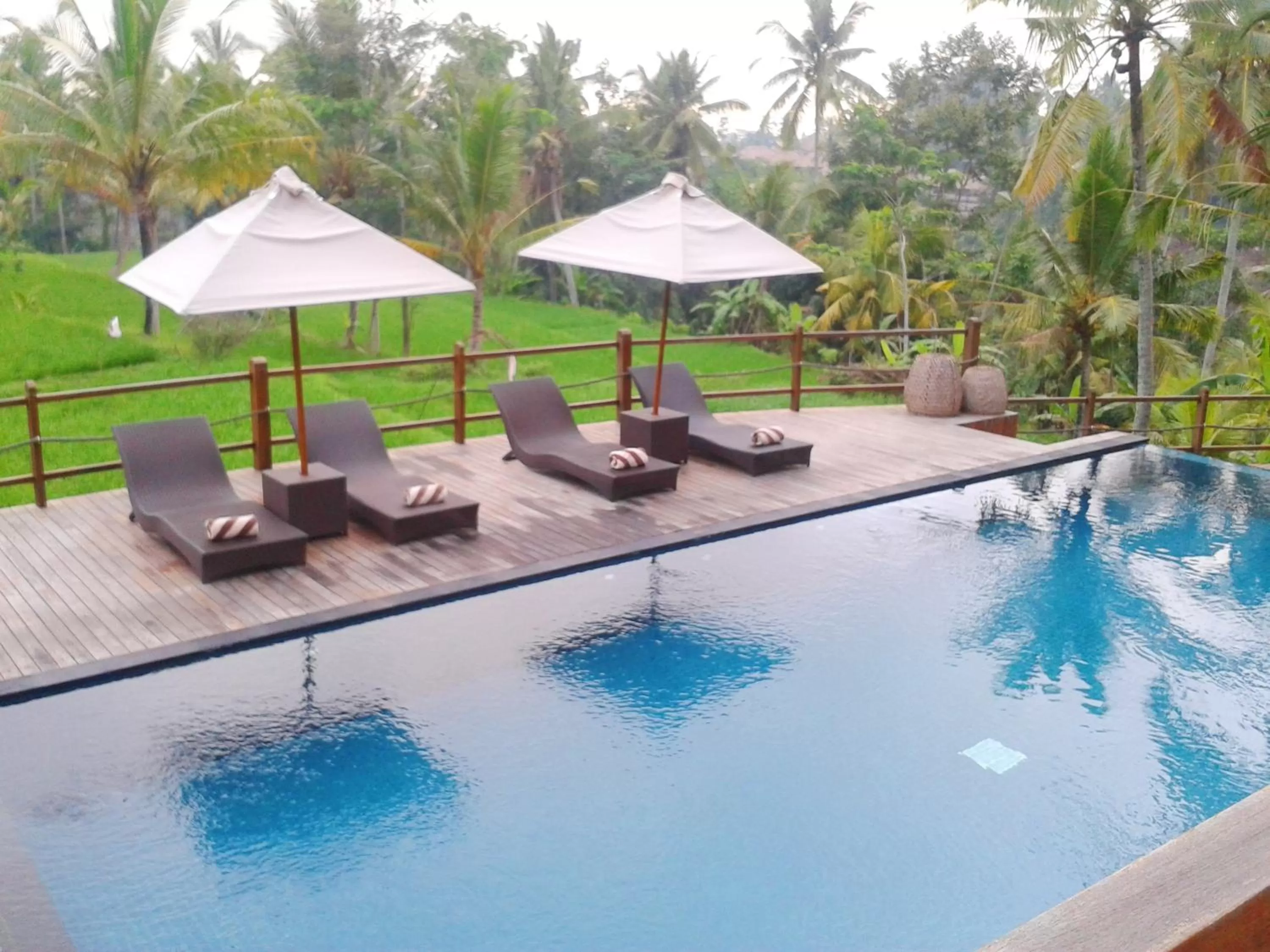 Pool view in Manyi Village Ubud