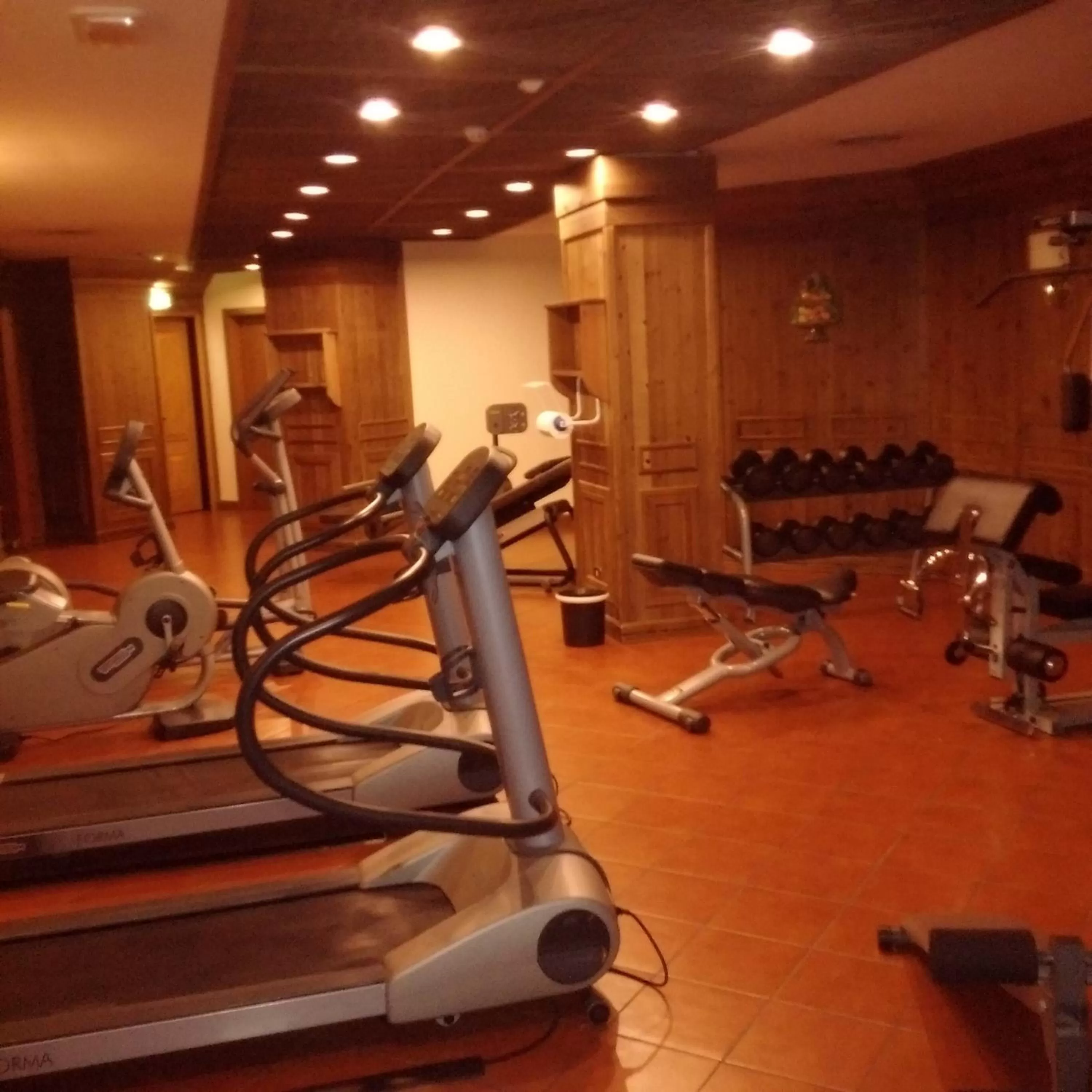 Fitness centre/facilities in Hotel Alaska Cortina