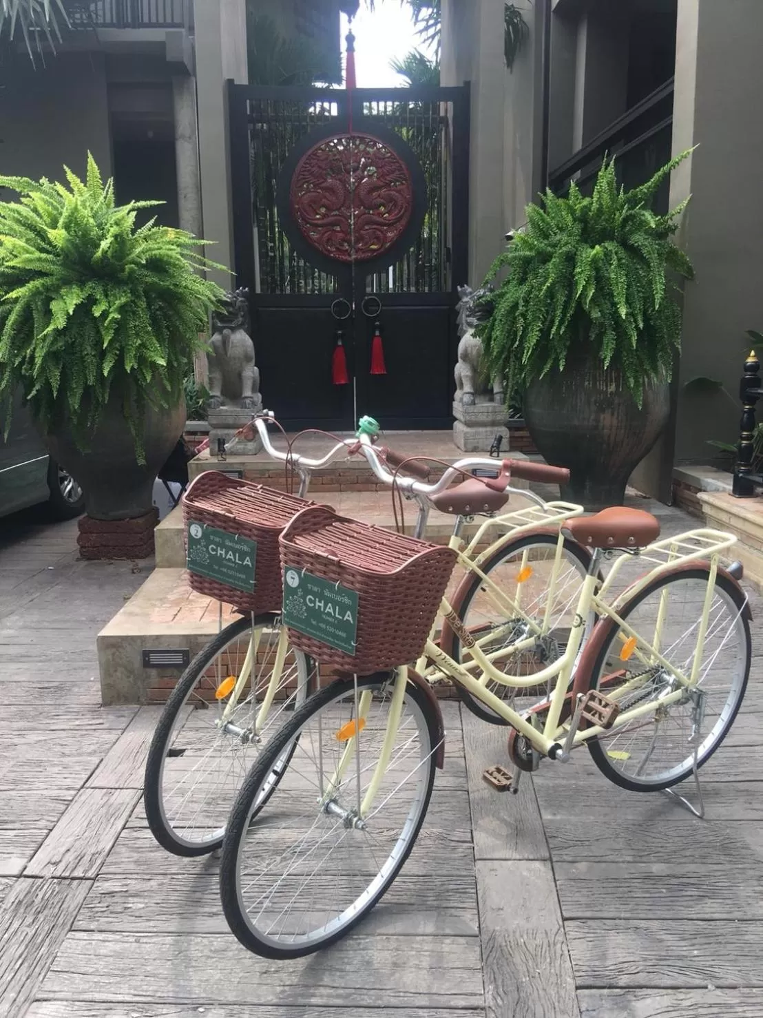 Activities in Chala Number6