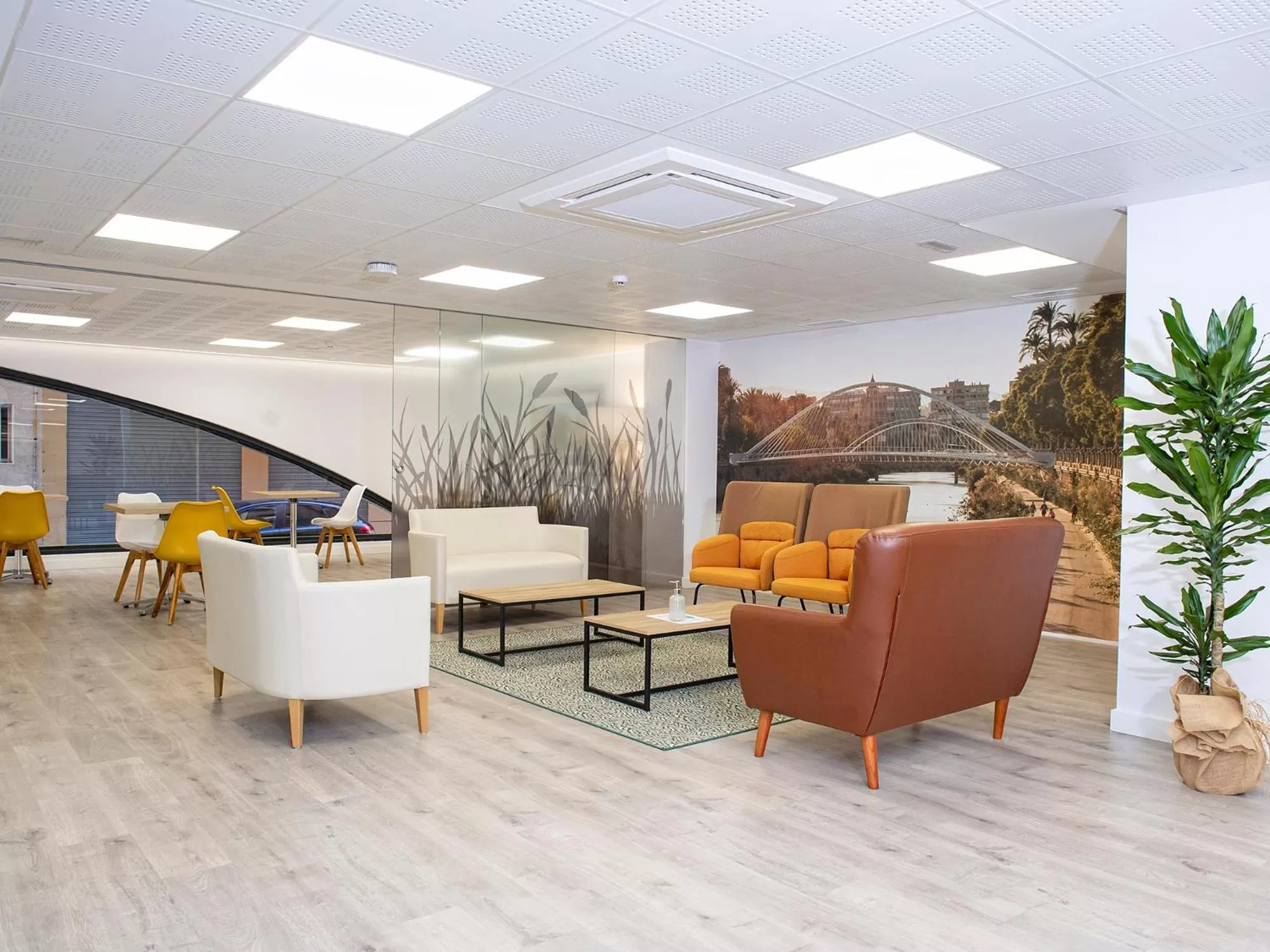 Area and facilities in Hotel Azahar