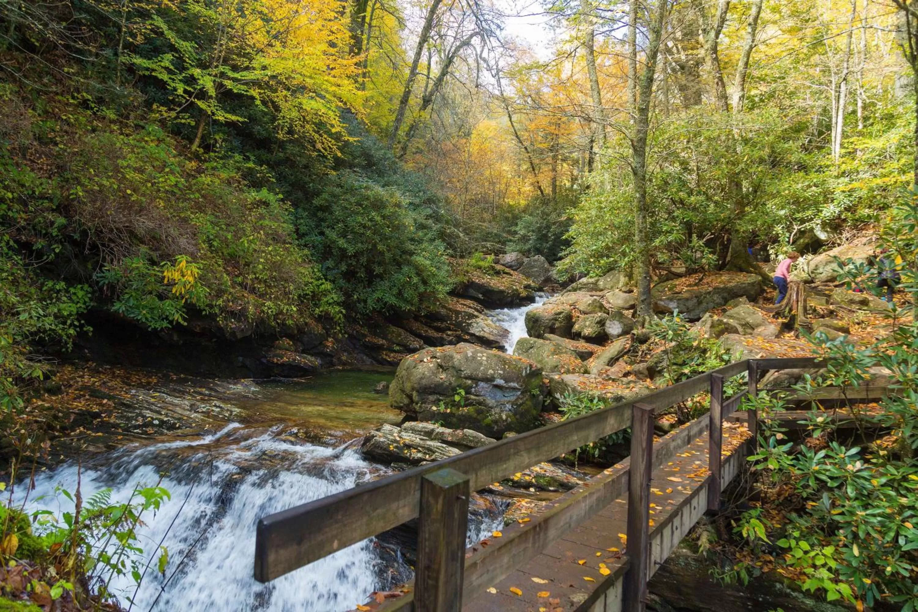 Hiking in Element Asheville Downtown