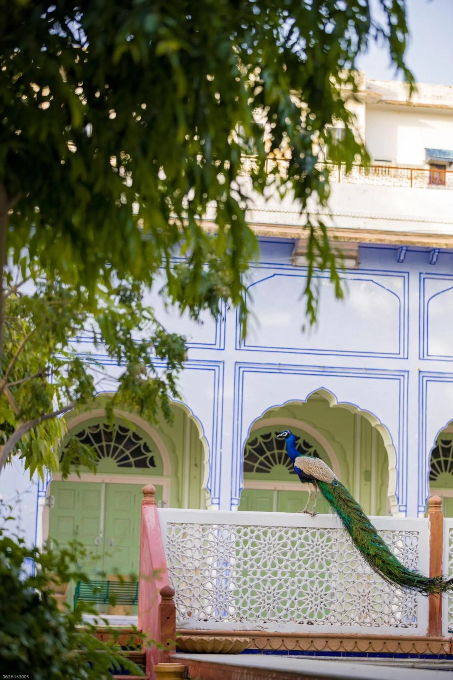 Property building in Diggi Palace - A City Center Hidden Heritage Gem