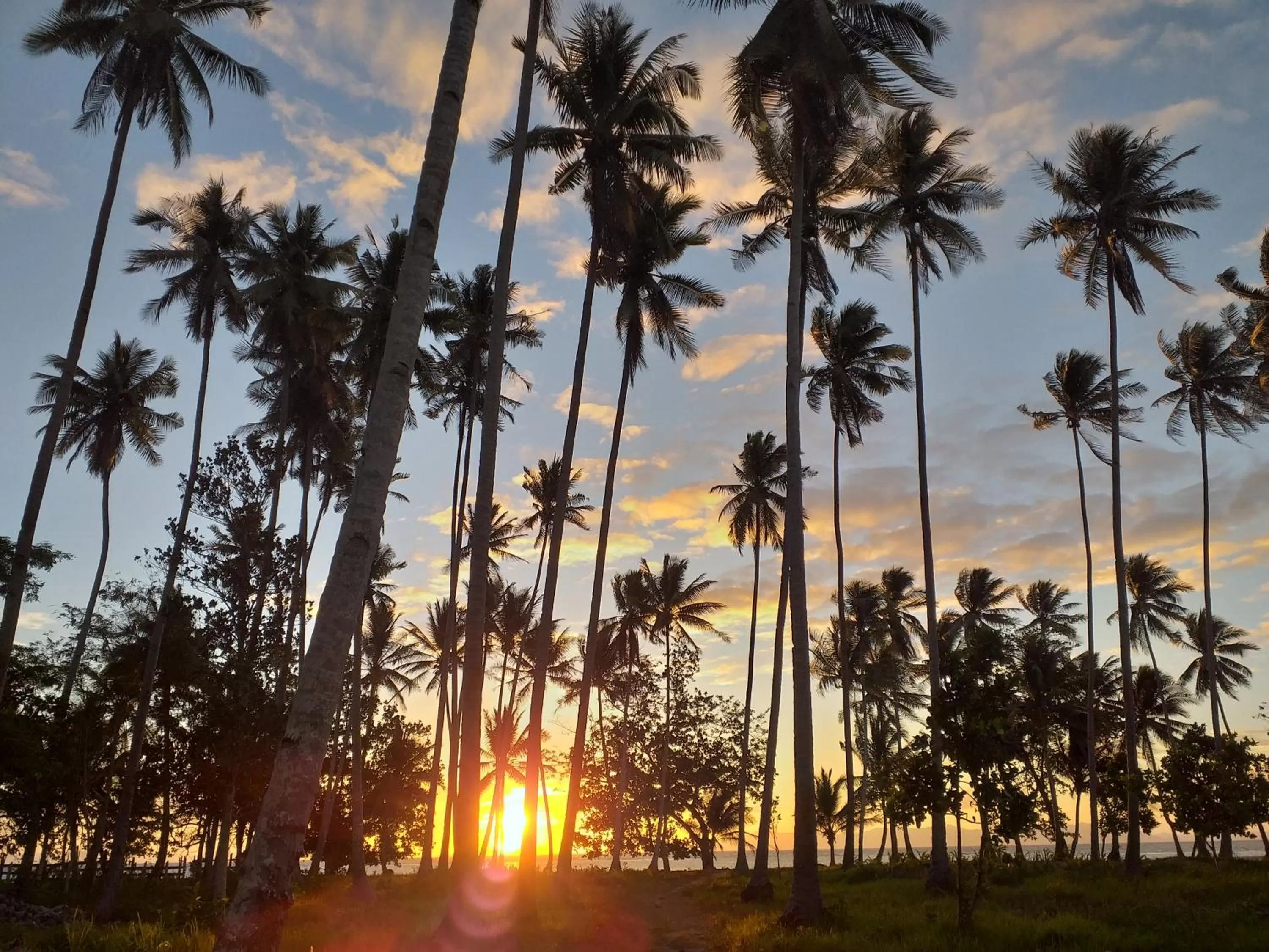 Natural landscape in Eastwind Beach Club- El Nido