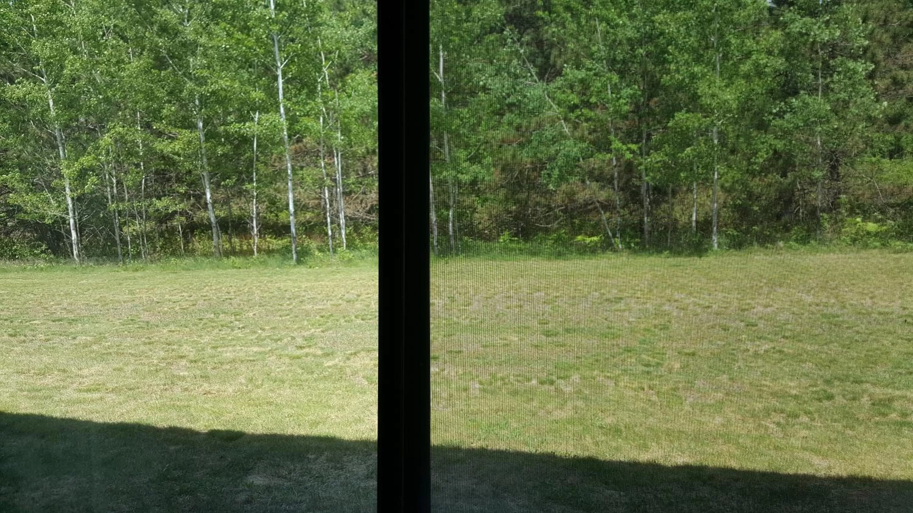 Garden view in Motel 6 Norway MI