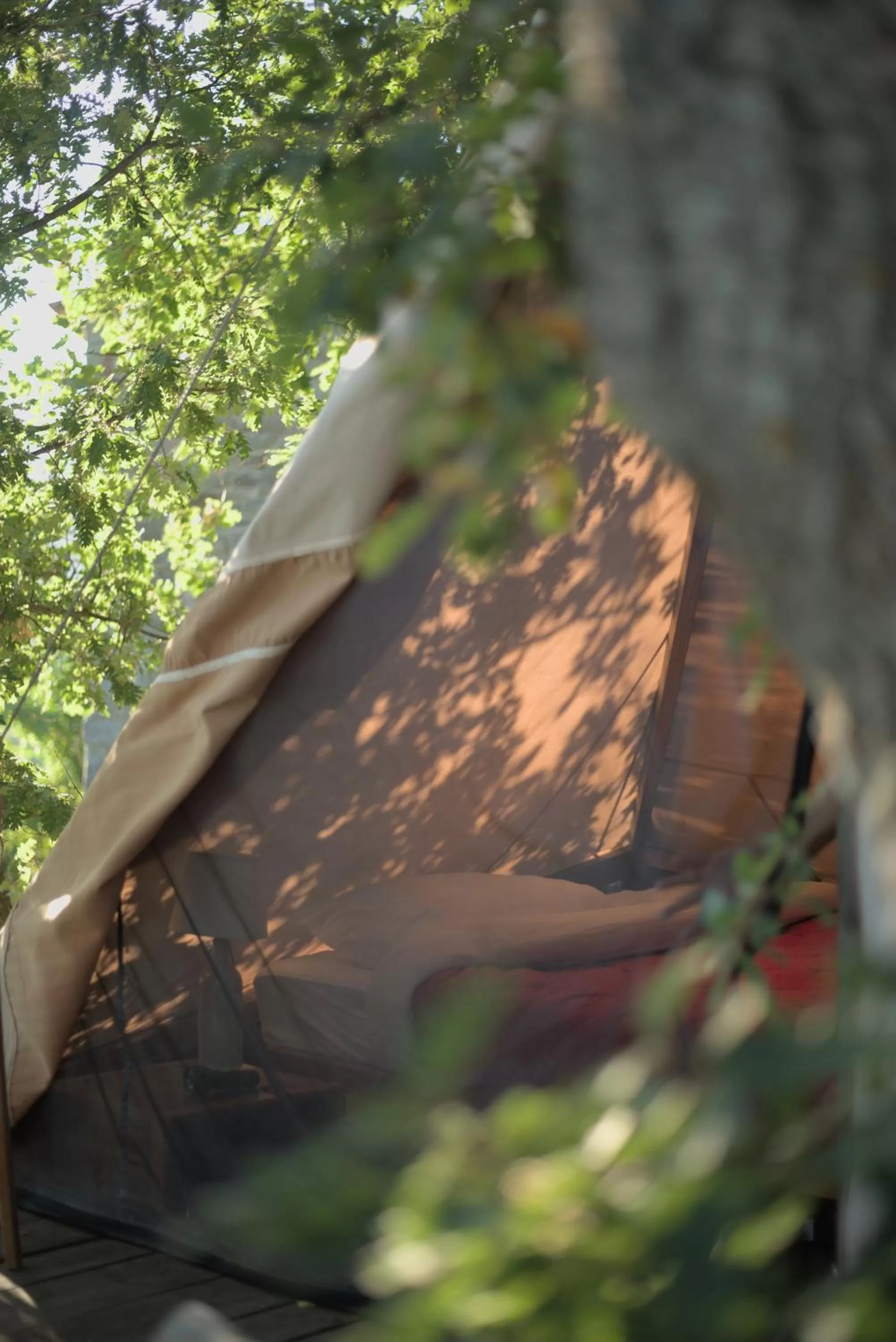 Garden, Property Building in novanta nature retreat