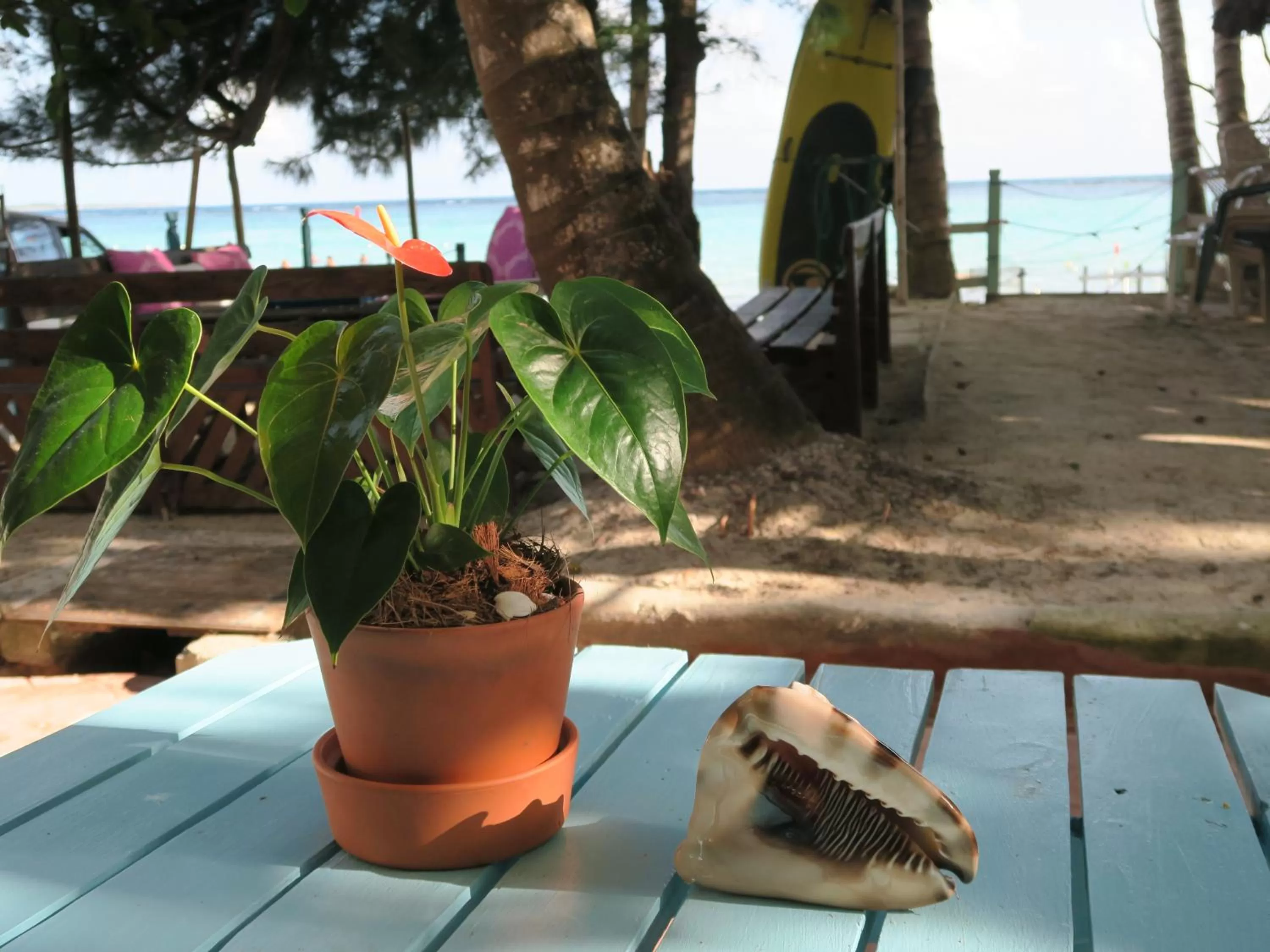 Patio in Hotel Club Rolling Stone