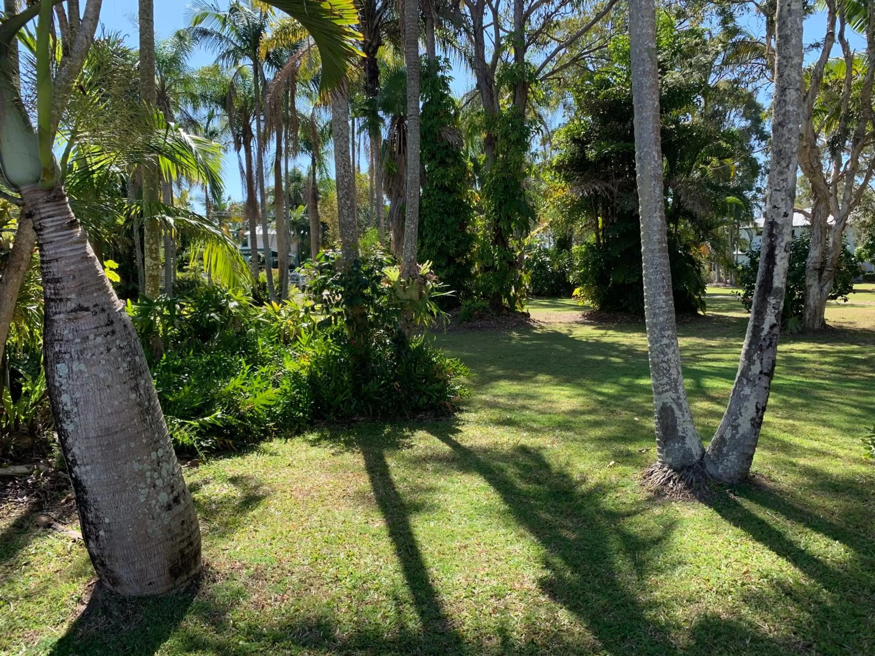 Garden in Tin Can Bay Motel