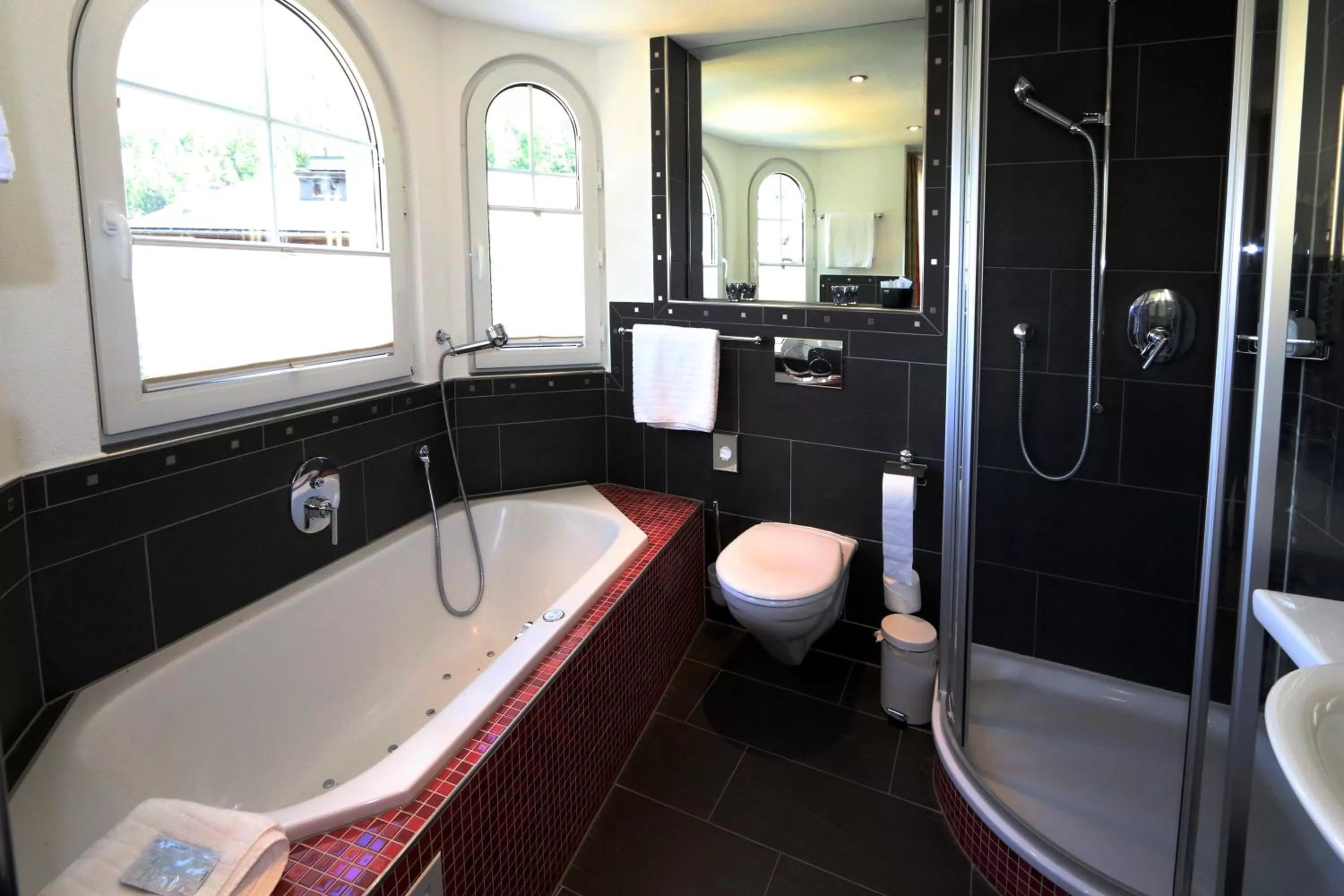 Amber Ski-in/out Hotel & Spa