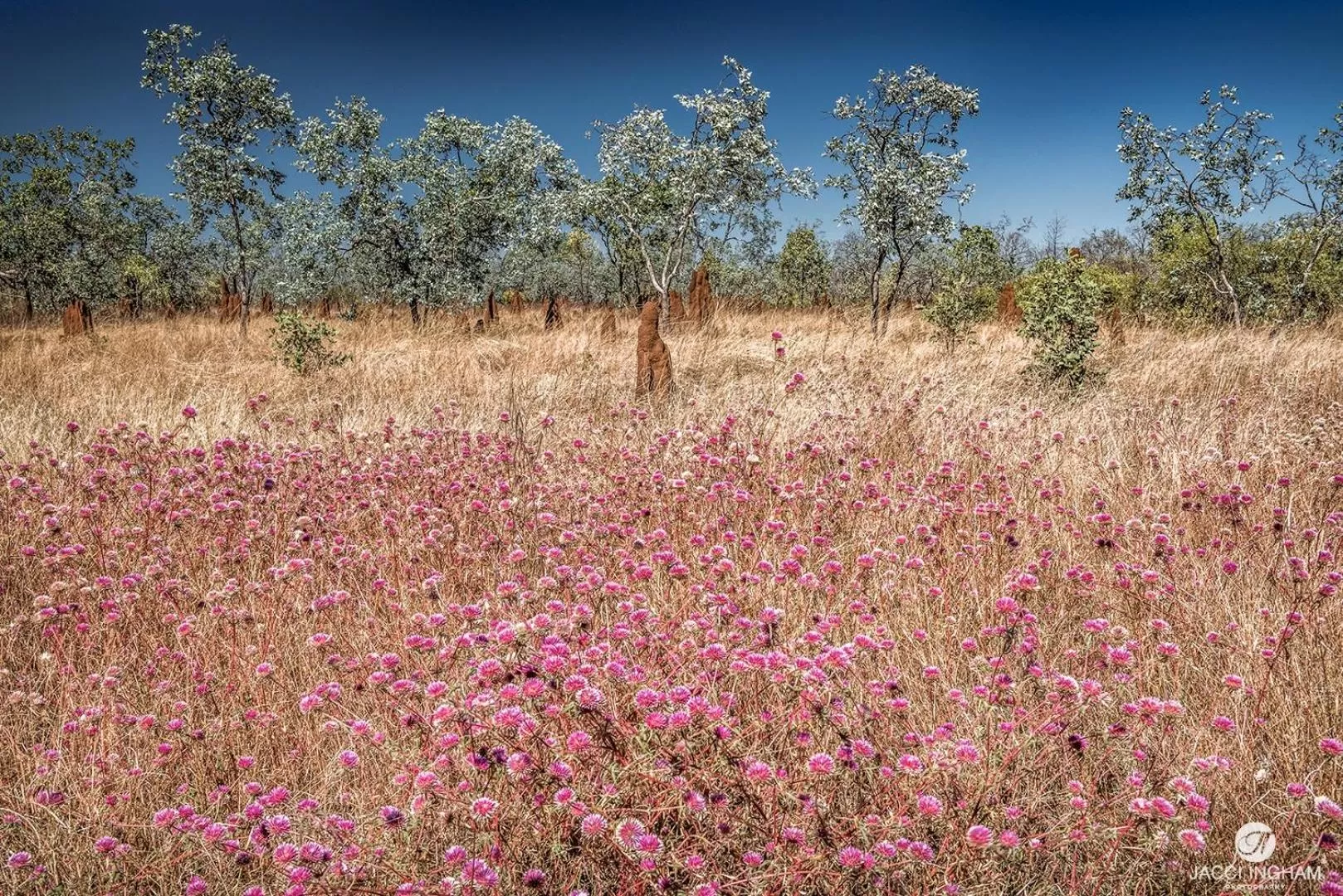 Knotts Crossing Resort