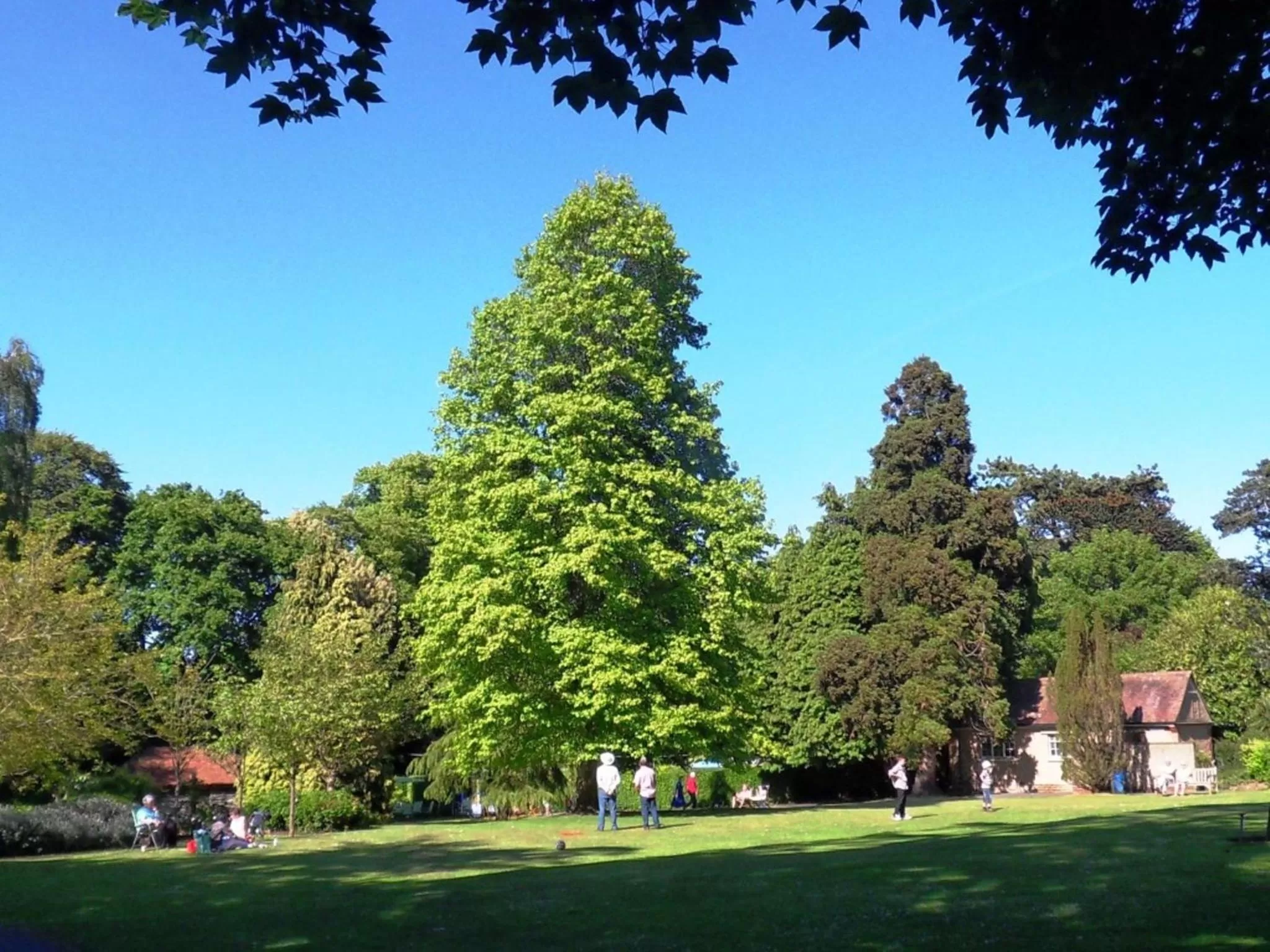 Area and facilities in Luccombe Hall Hotel