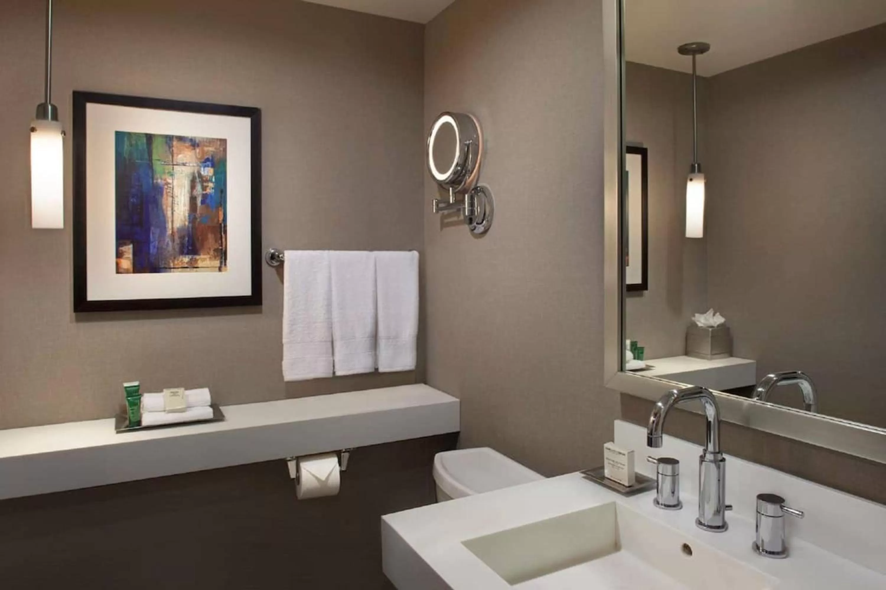 Bathroom in Hilton Toronto Airport Hotel & Suites