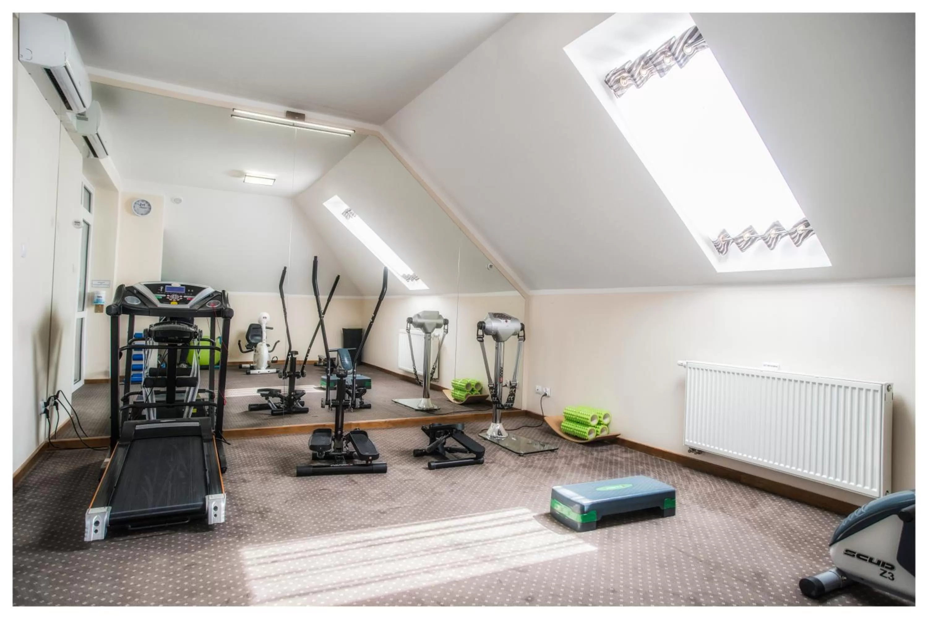 Fitness centre/facilities in Rezydencja Elżbiecin